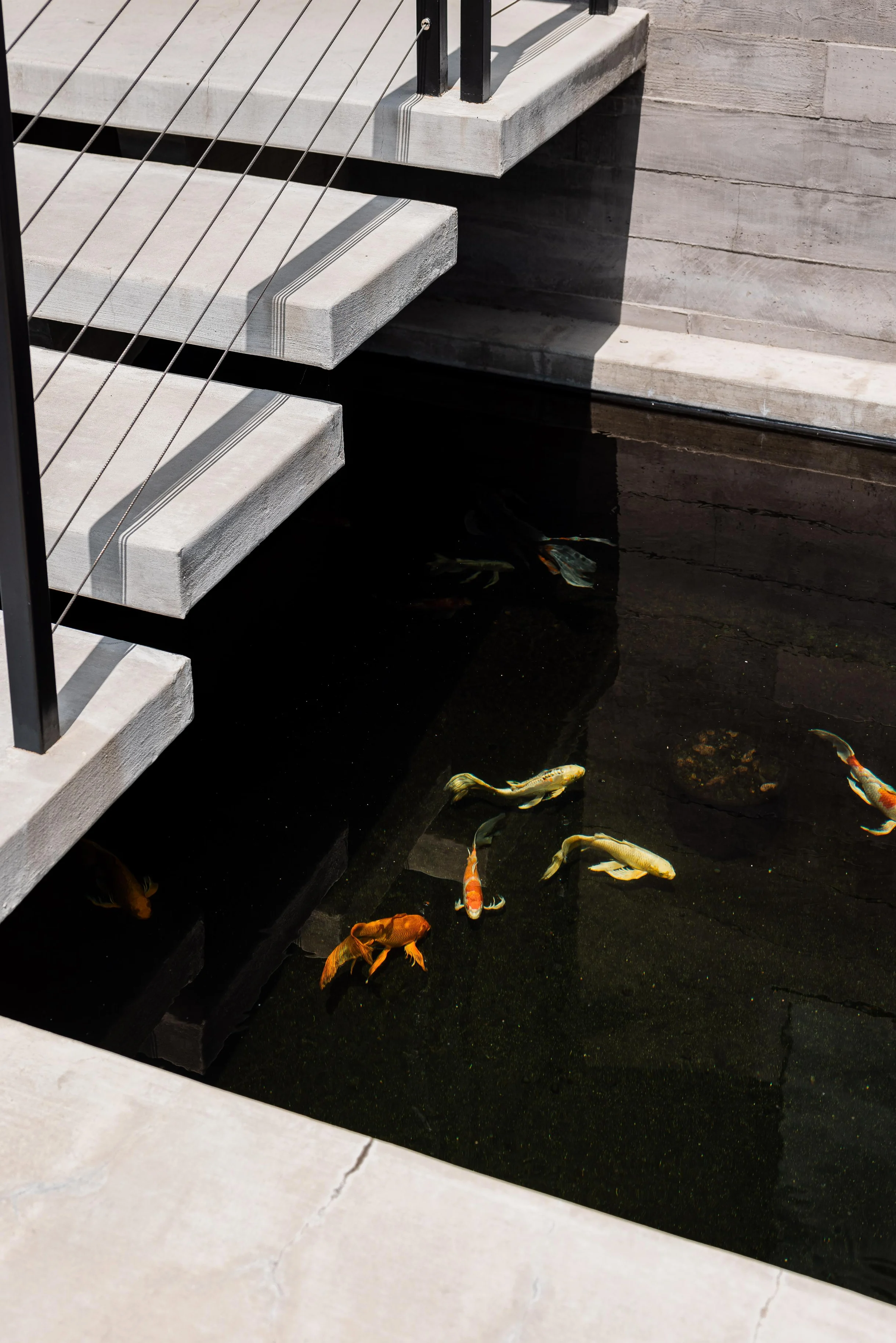 Wander Los Angeles Canyons #29