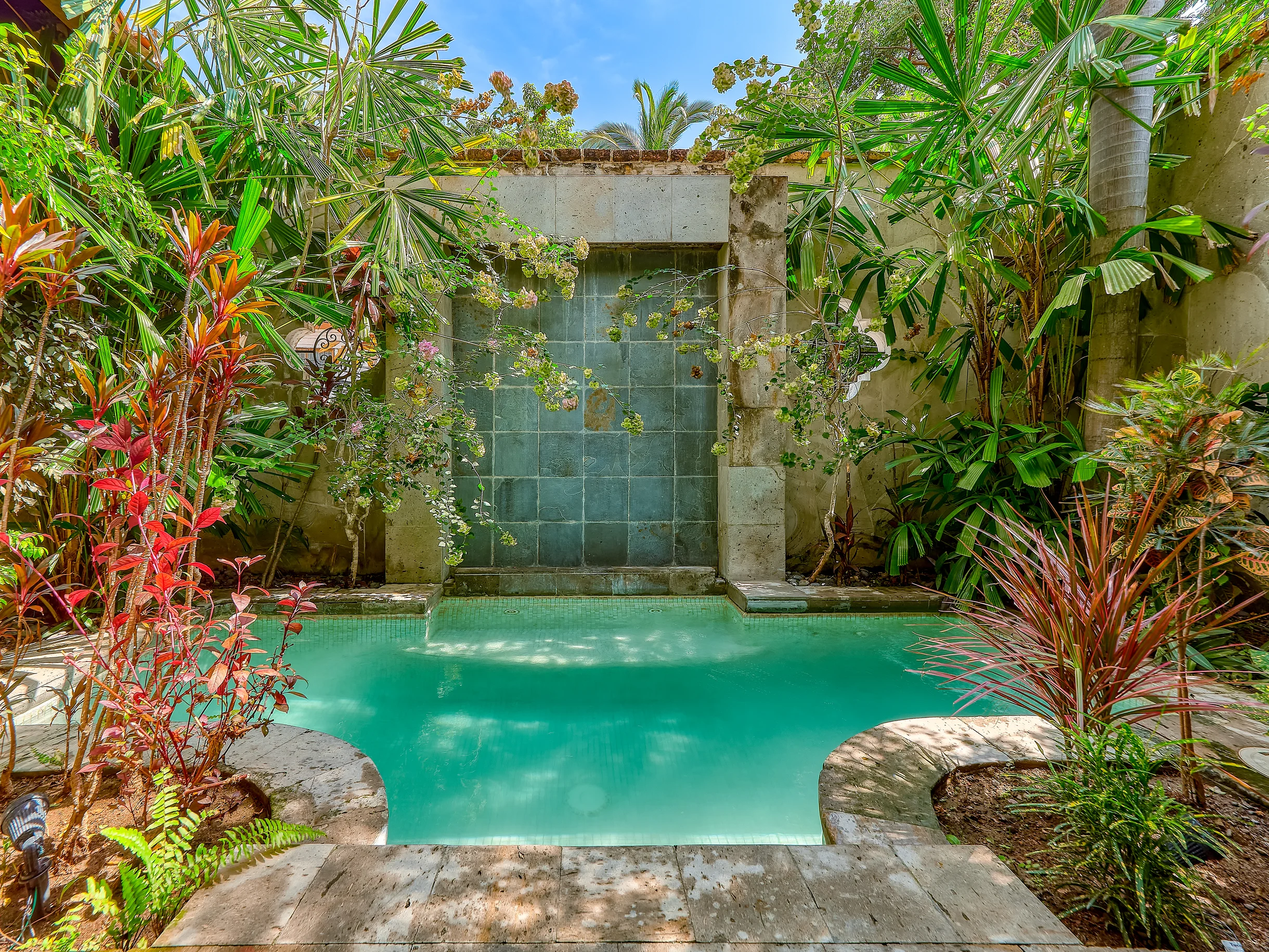 Wander Puerto Vallarta Palms #2