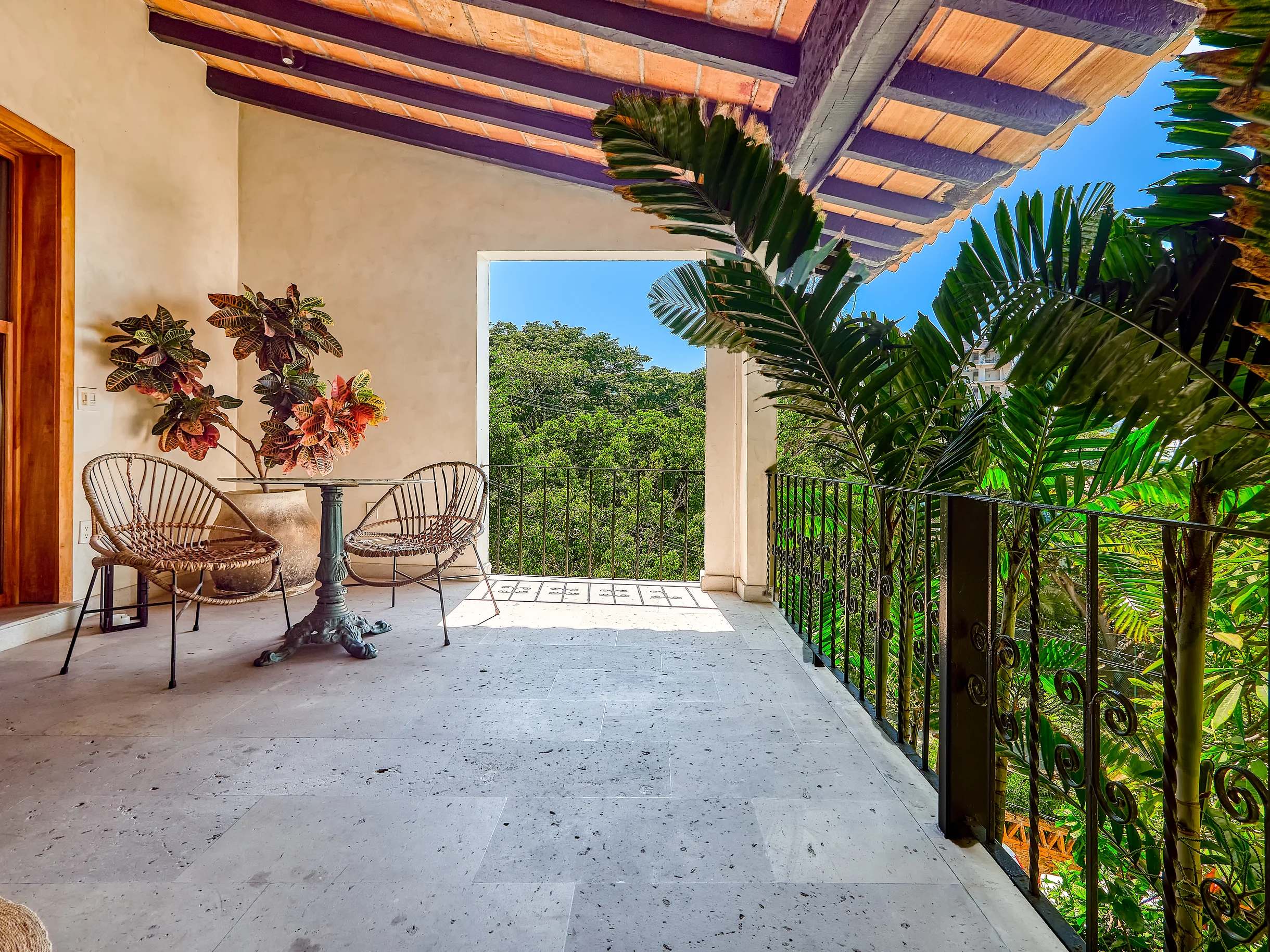 Wander Puerto Vallarta Palms