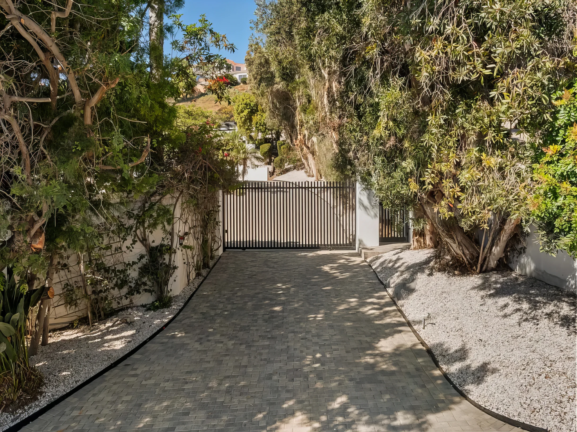 Wander Malibu Crest #5