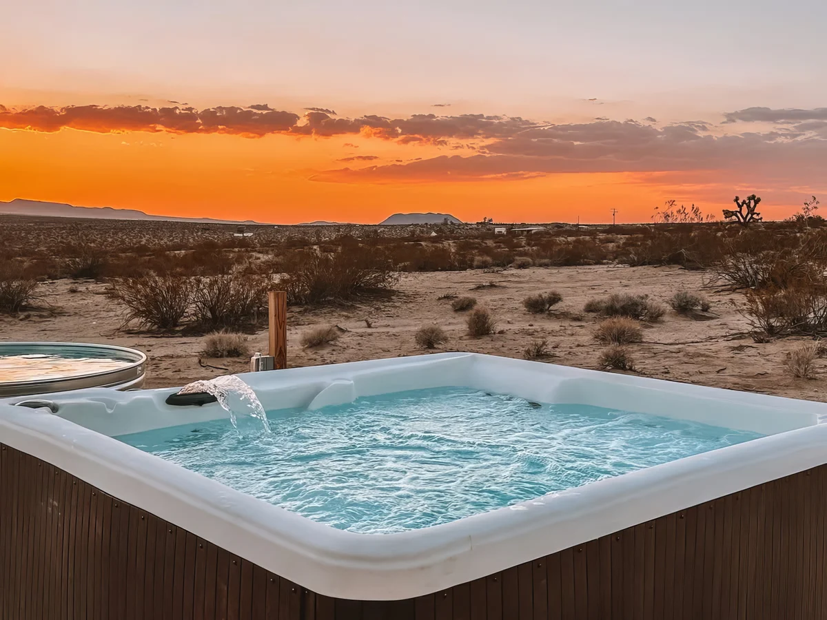 Wander Joshua Tree Sunscape #5