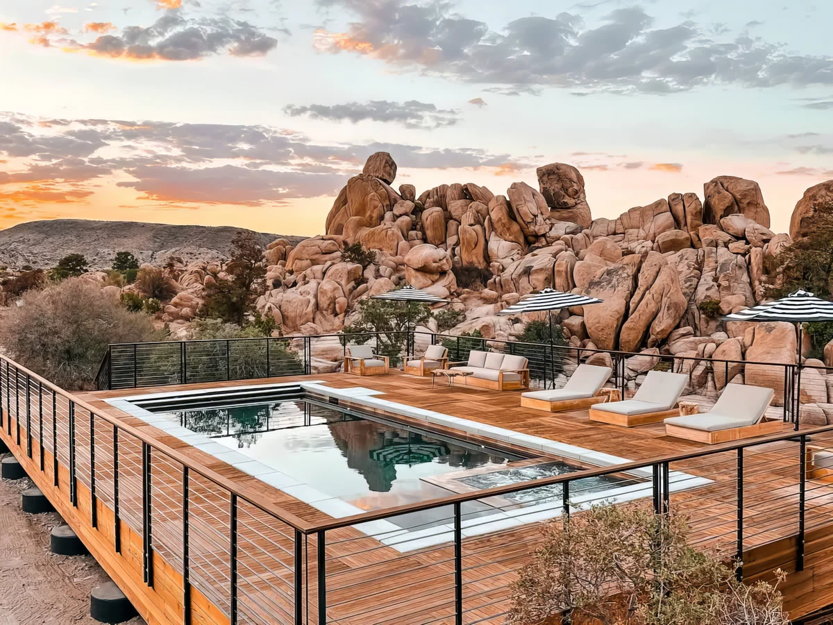 Wander Joshua Tree Creosote