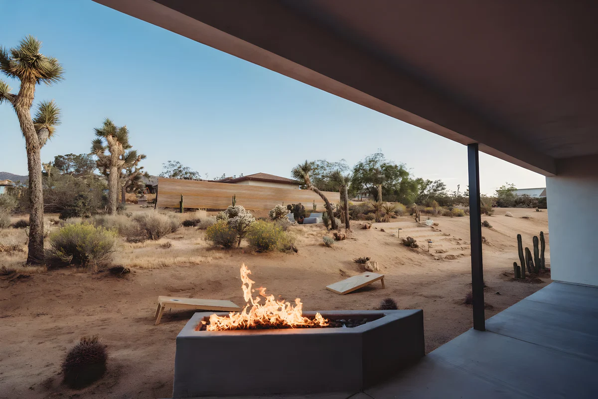 Wander Joshua Tree Arroya