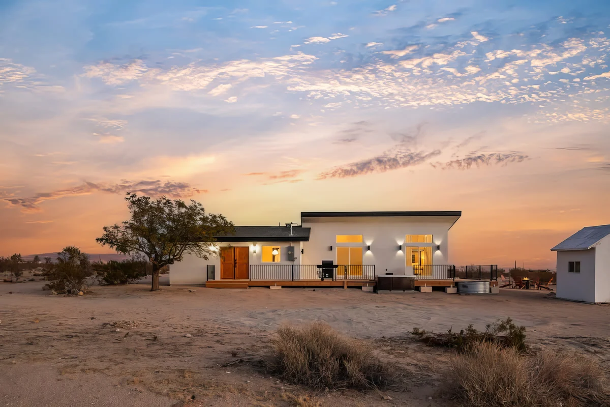 Wander Joshua Tree Dunes #4