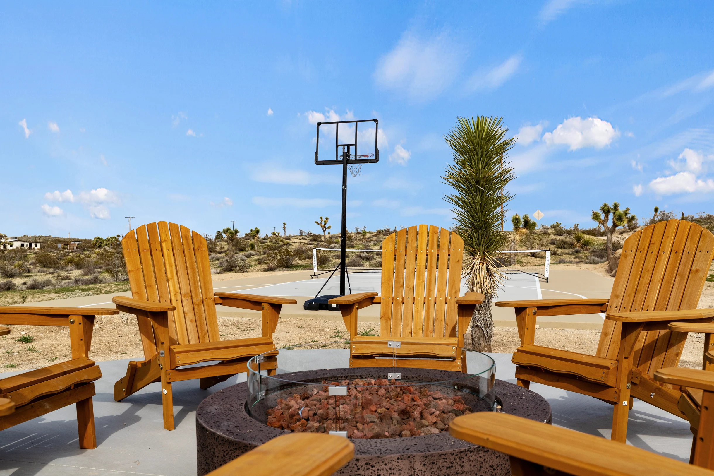 Wander Joshua Tree Elysium #75