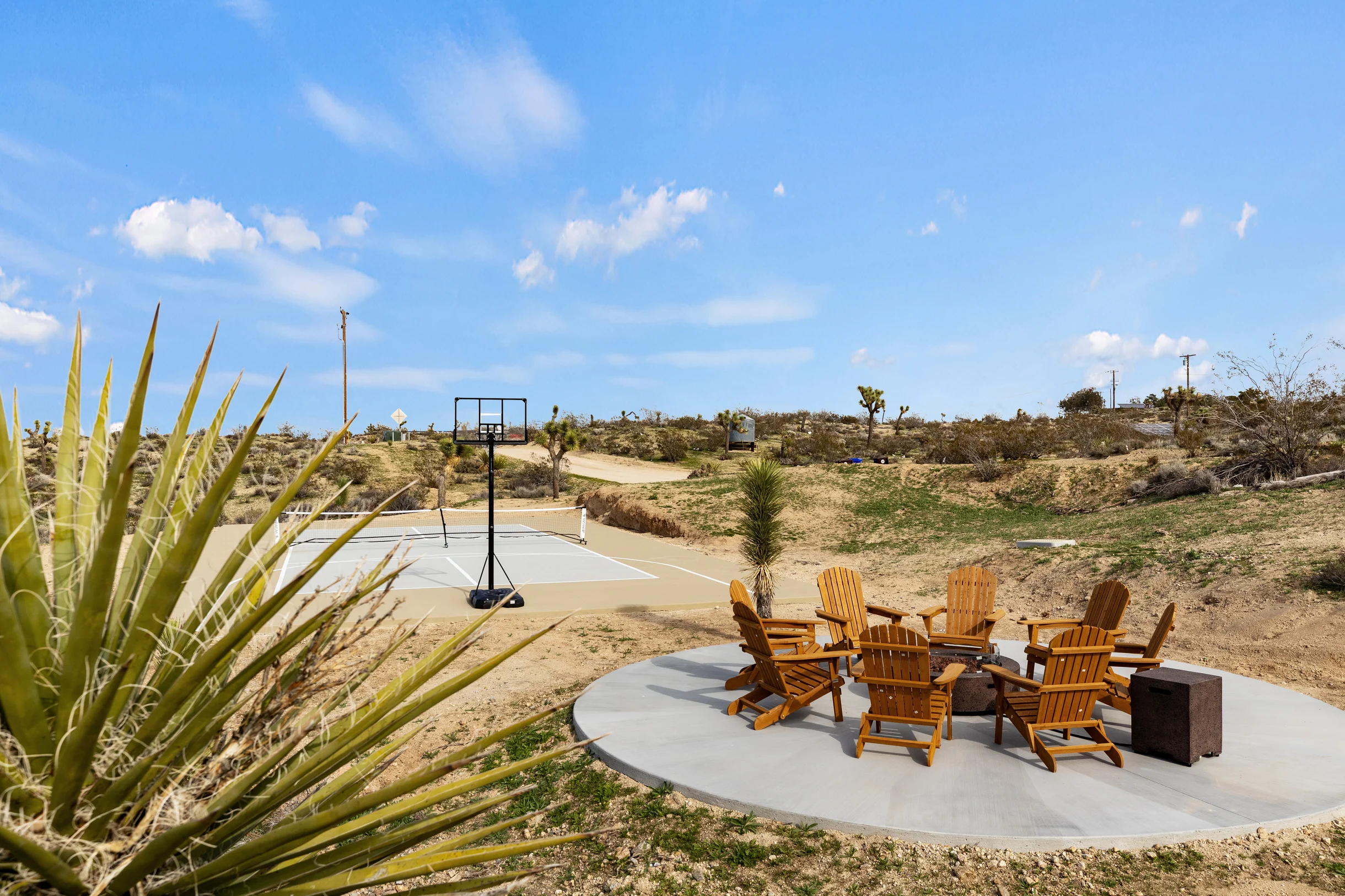 Wander Joshua Tree Elysium #61