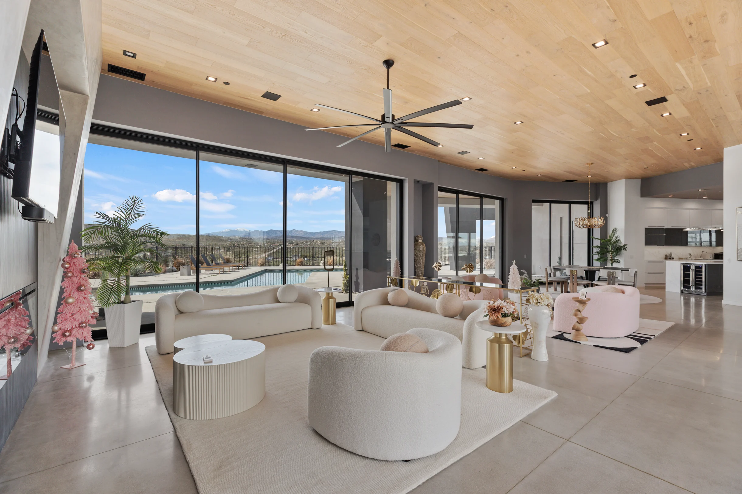 Wander Joshua Tree Elysium #88