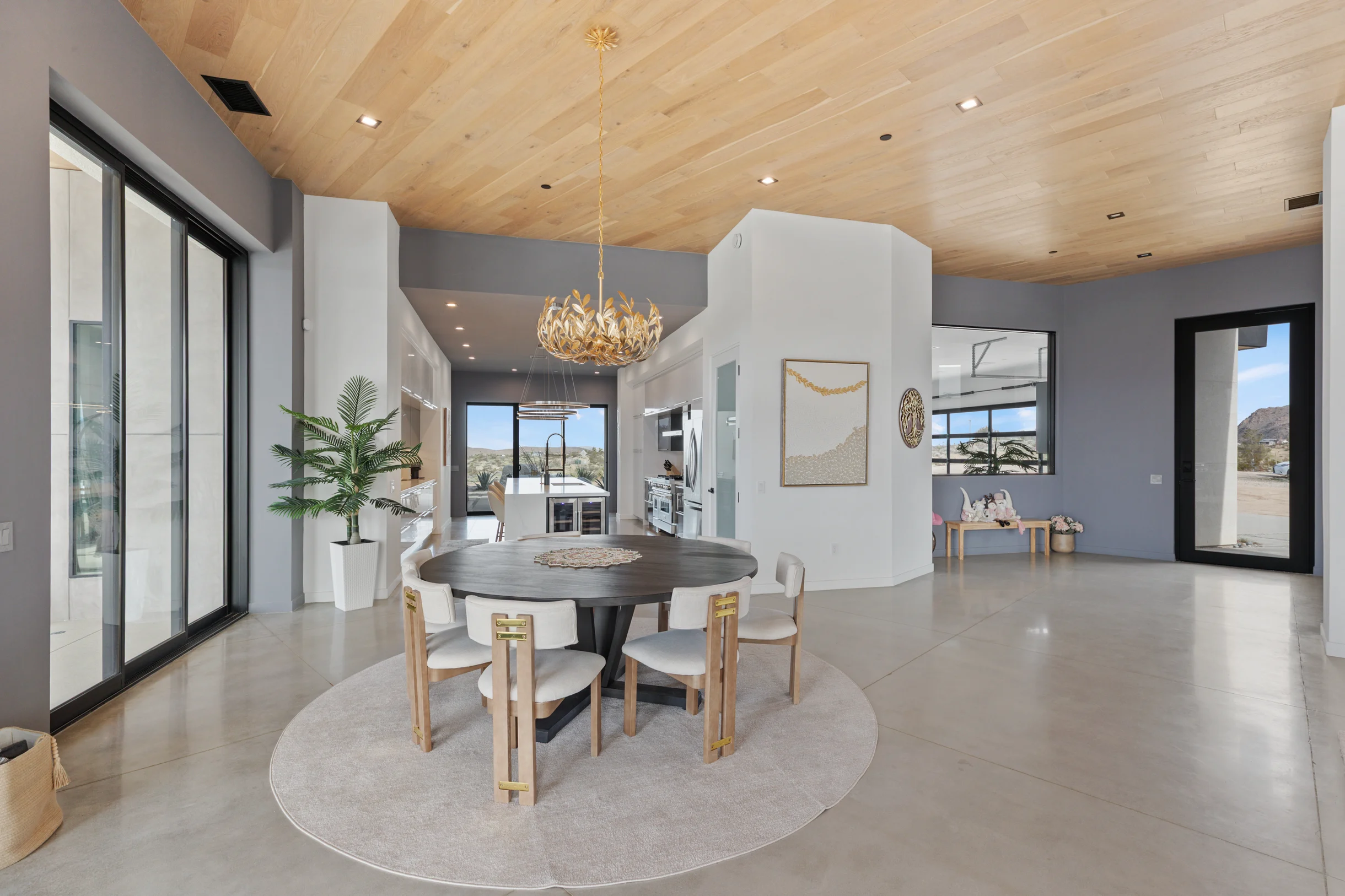 Wander Joshua Tree Elysium #17