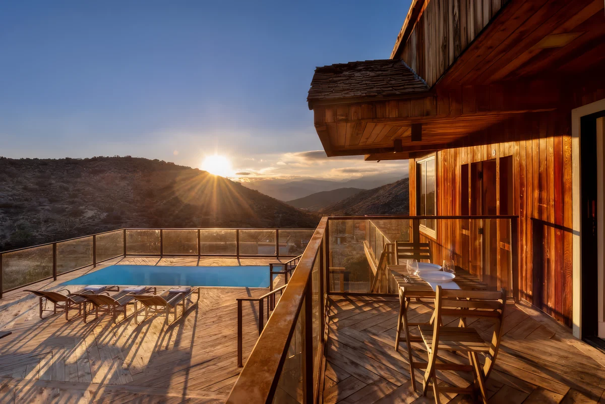 Wander Joshua Tree Cosmos