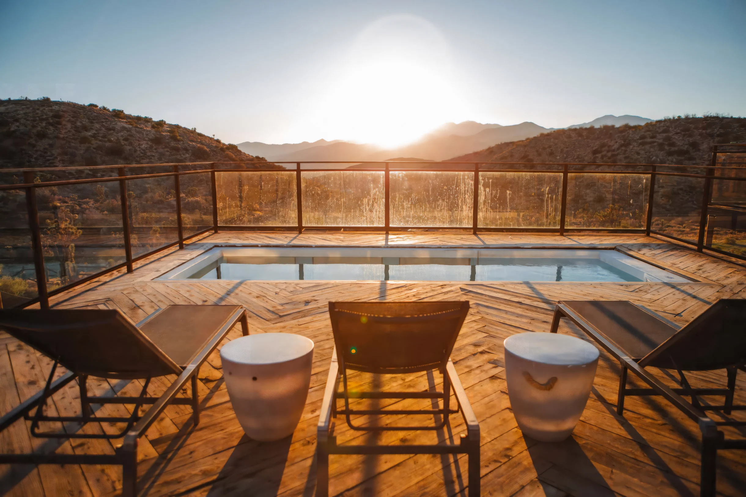 Wander Joshua Tree Cosmos #22