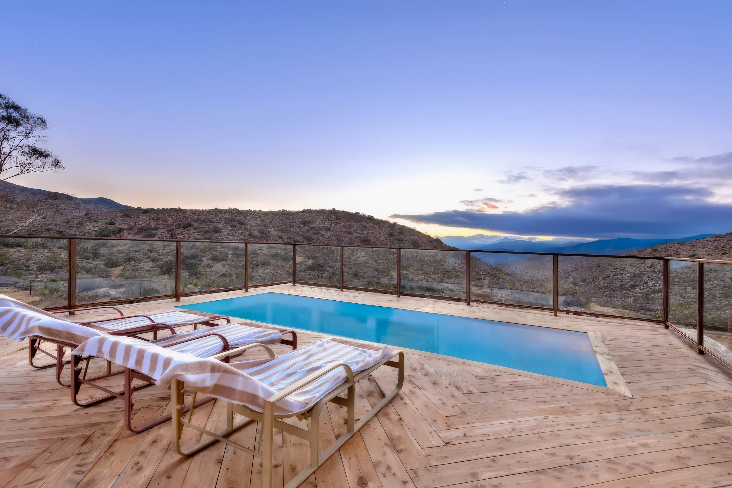 Wander Joshua Tree Cosmos #8