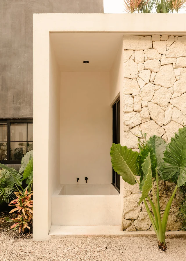 Wander Tulum Timber #27