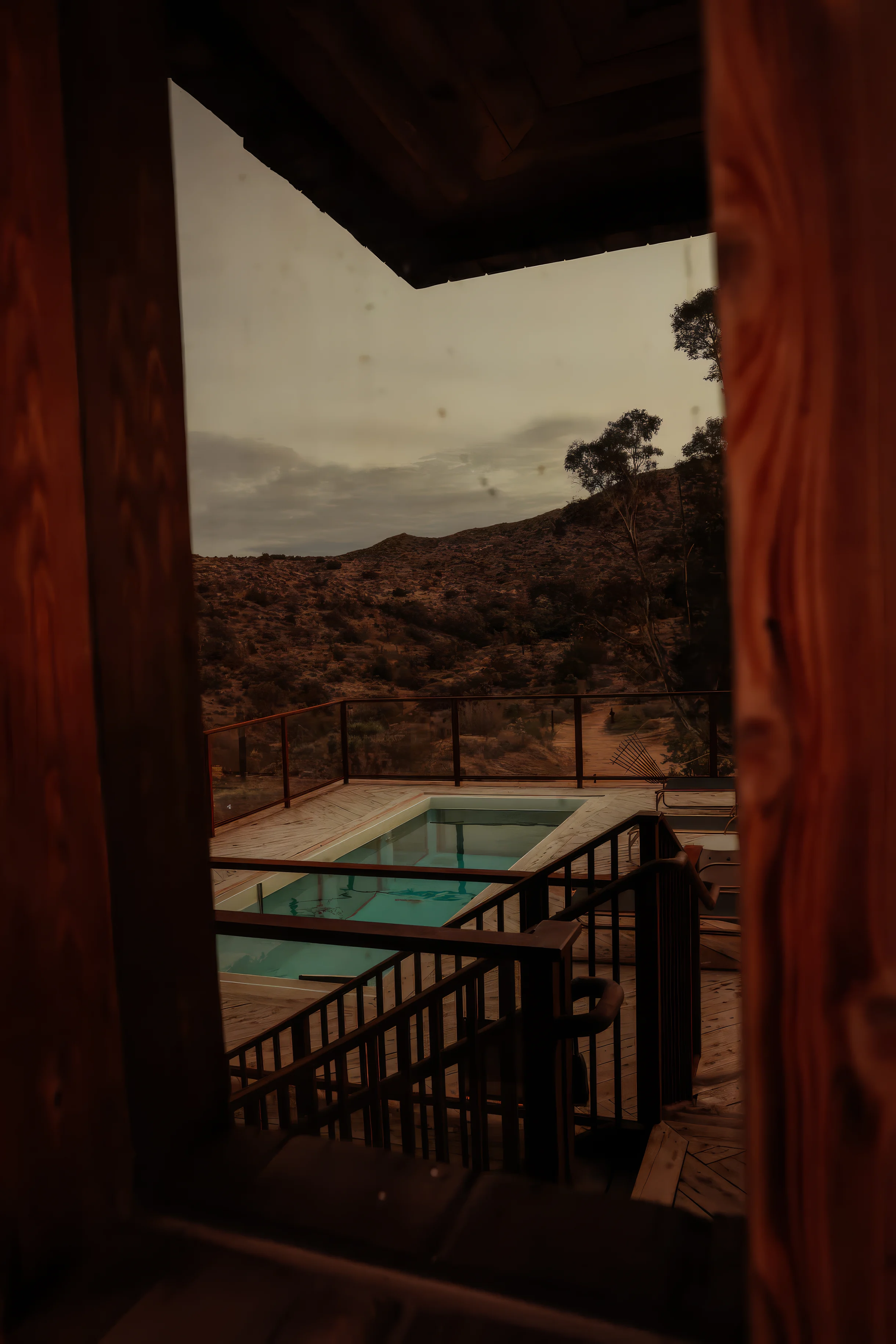 Wander Joshua Tree Cosmos #48