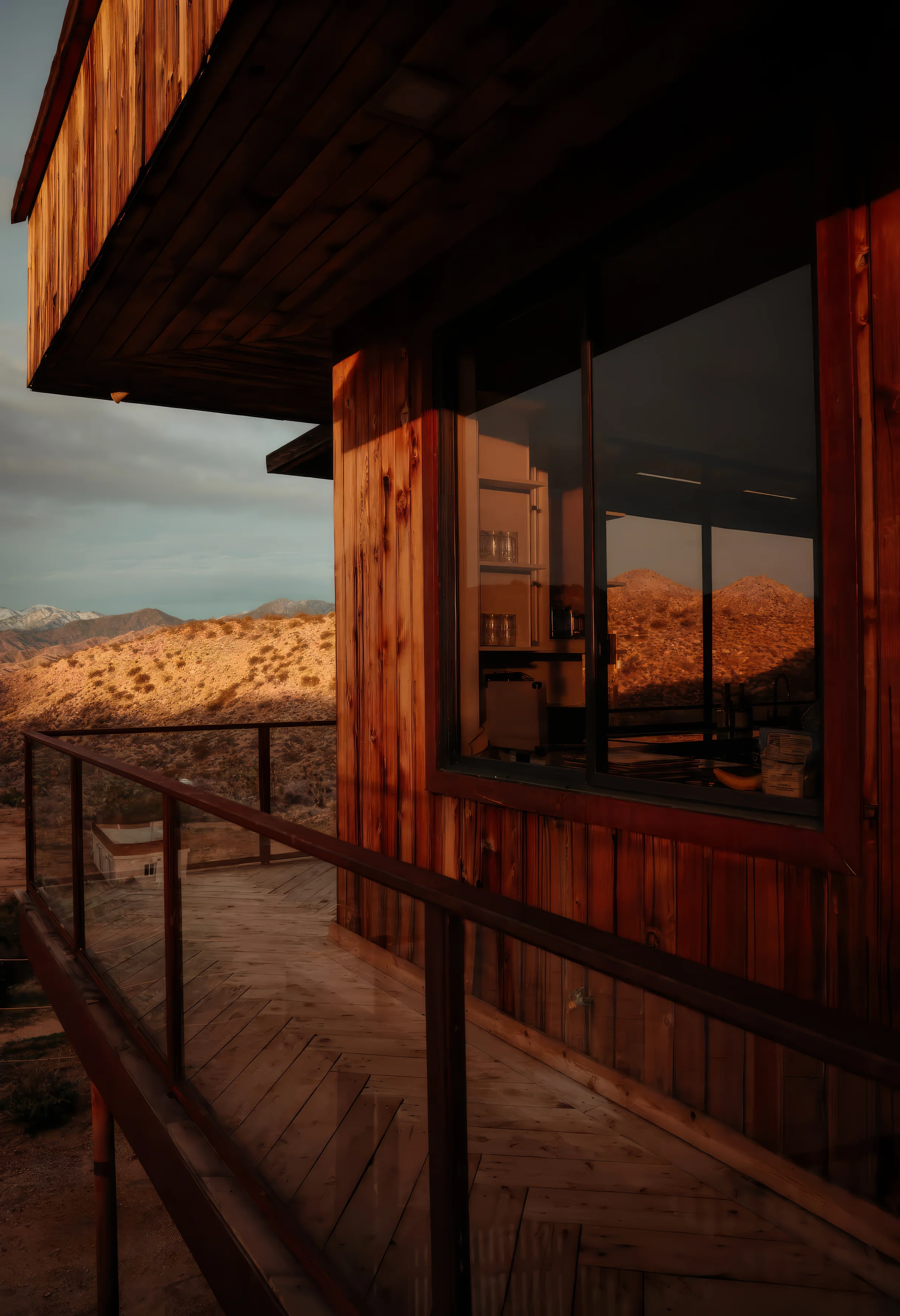 Wander Joshua Tree Cosmos #43