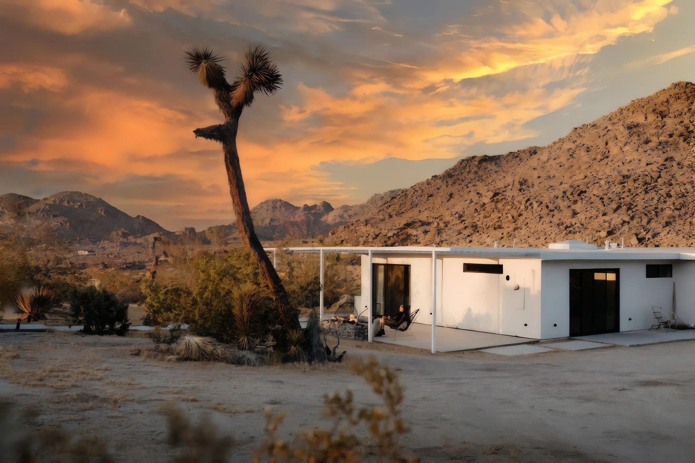 Wander Joshua Tree Shadows