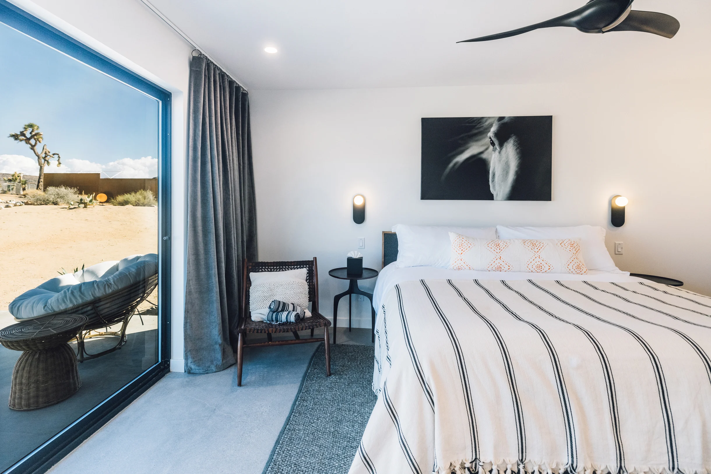 Wander Pioneertown Dunes #48