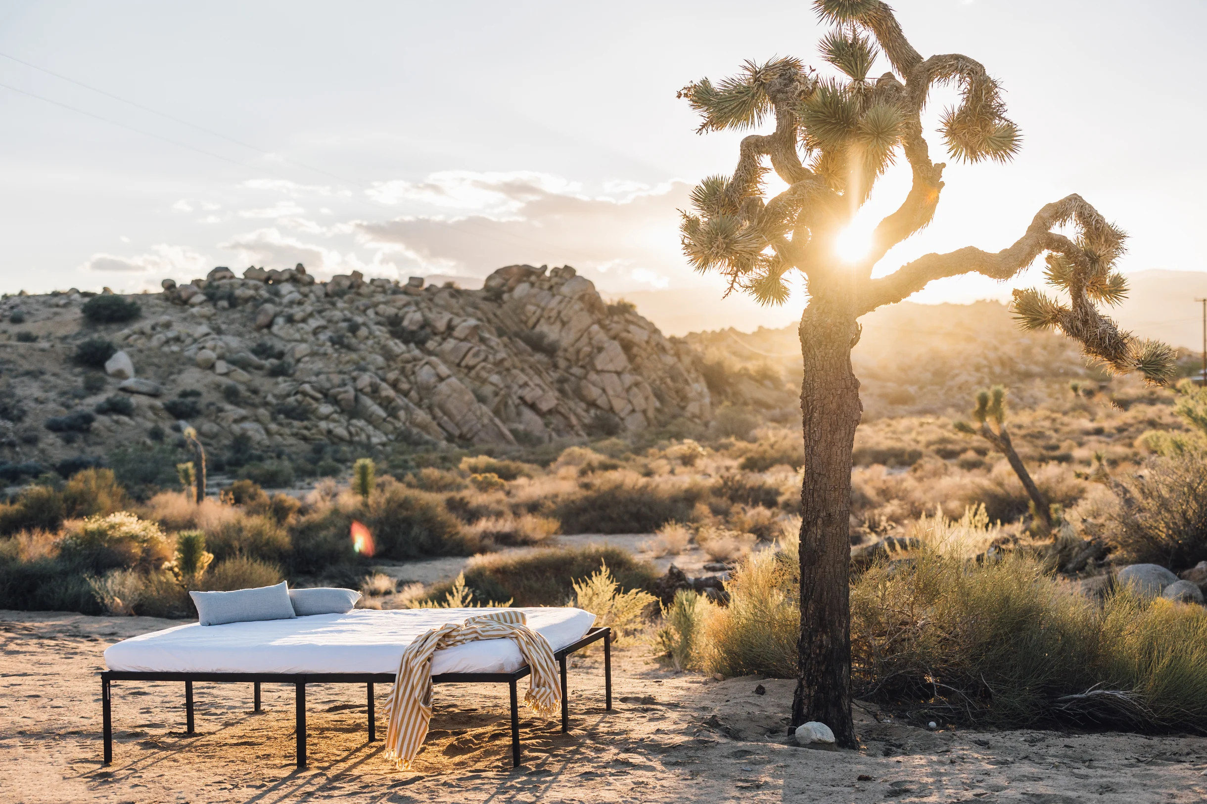 Wander Pioneertown Dunes #57