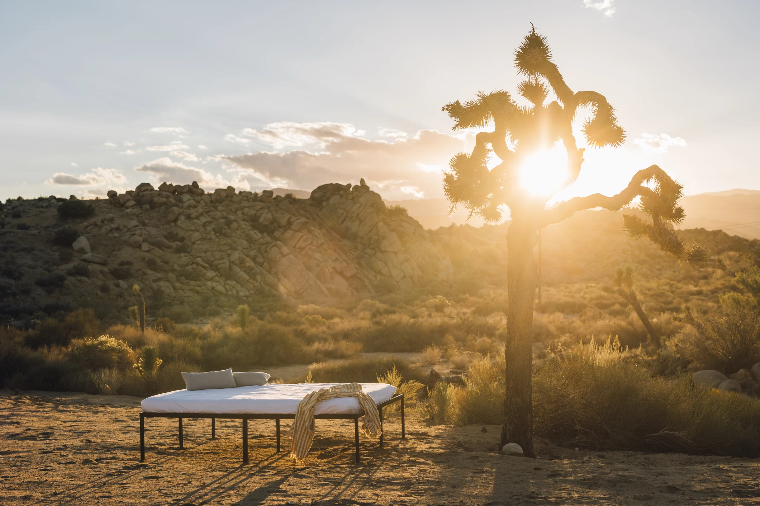 Wander Pioneertown Dunes #64