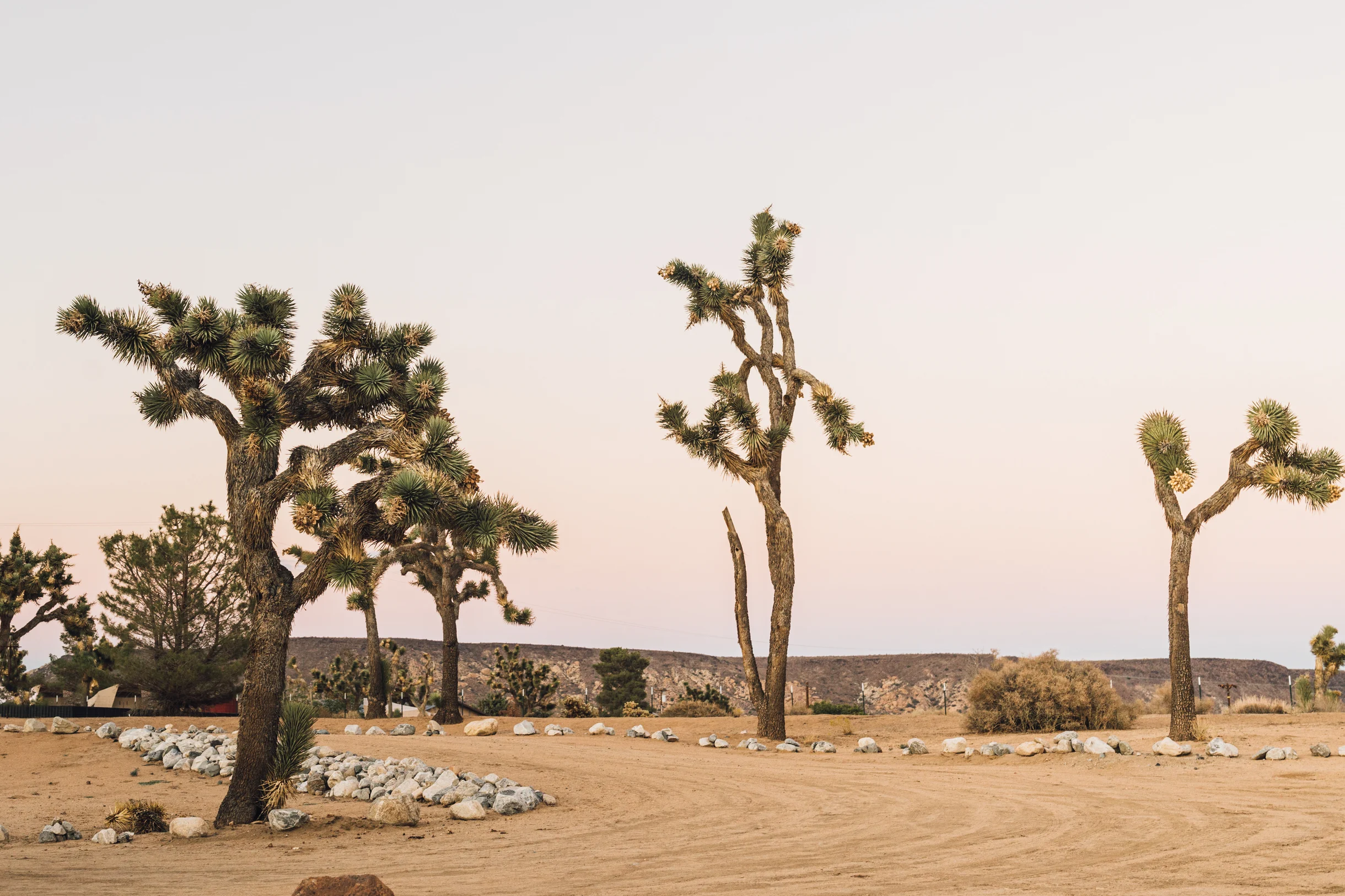 Wander Pioneertown Dunes #69