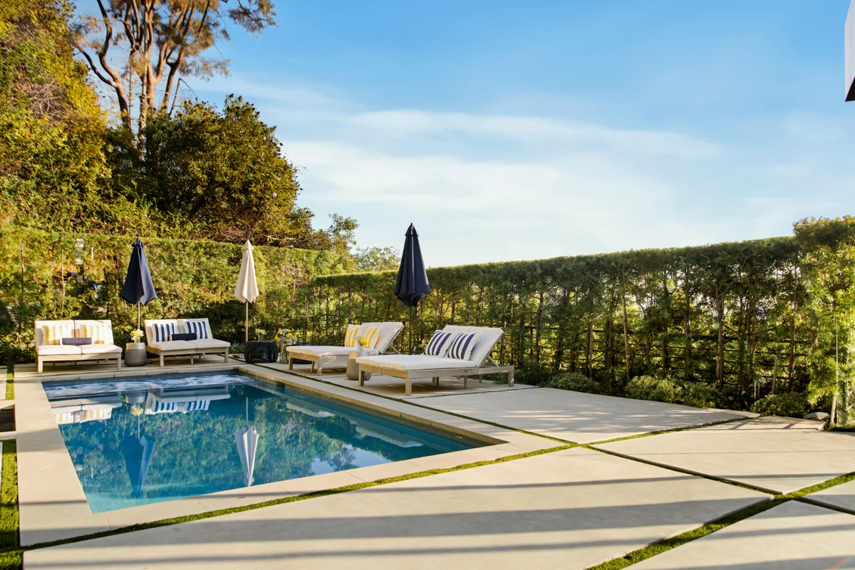 Wander Hollywood Crest #50