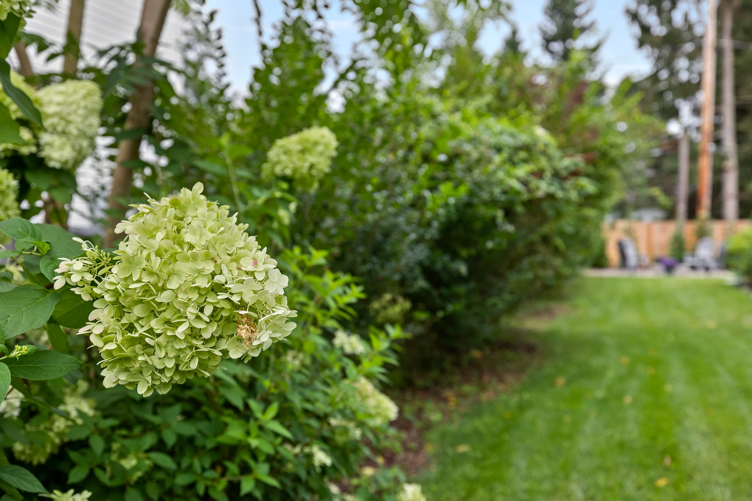Wander Union Pier Dunes #33