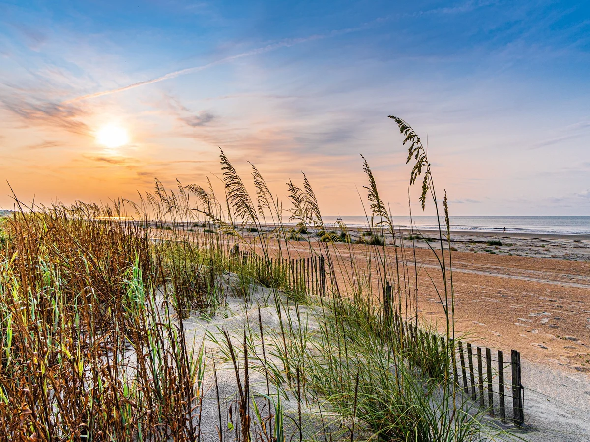 Wander Hilton Head Luna #29