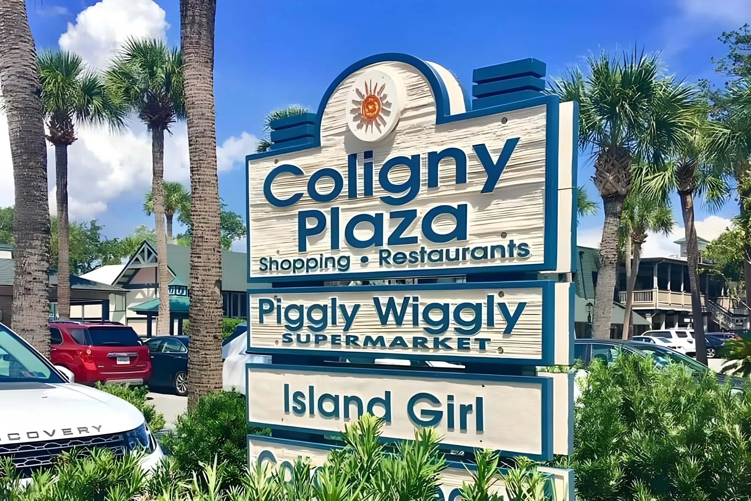 Wander Hilton Head Rookery #59