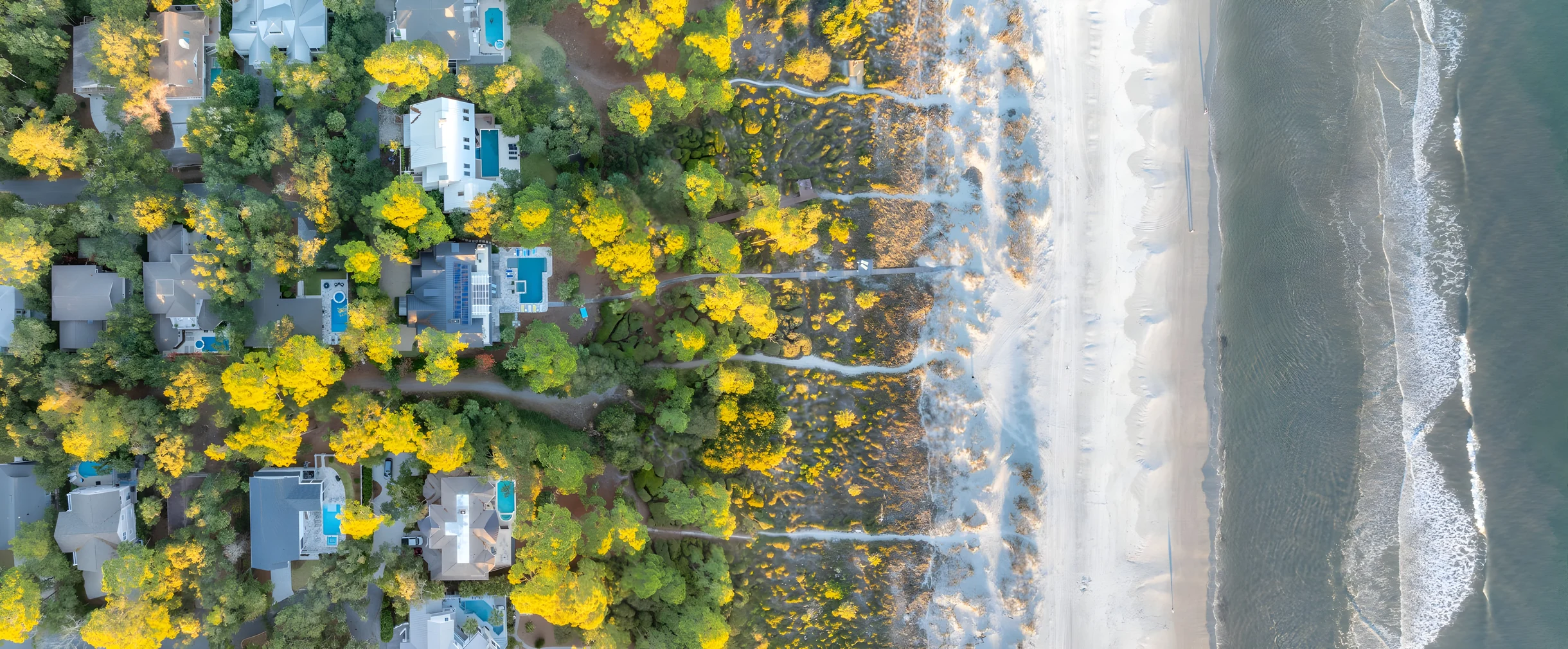 Wander Hilton Head Rookery #52