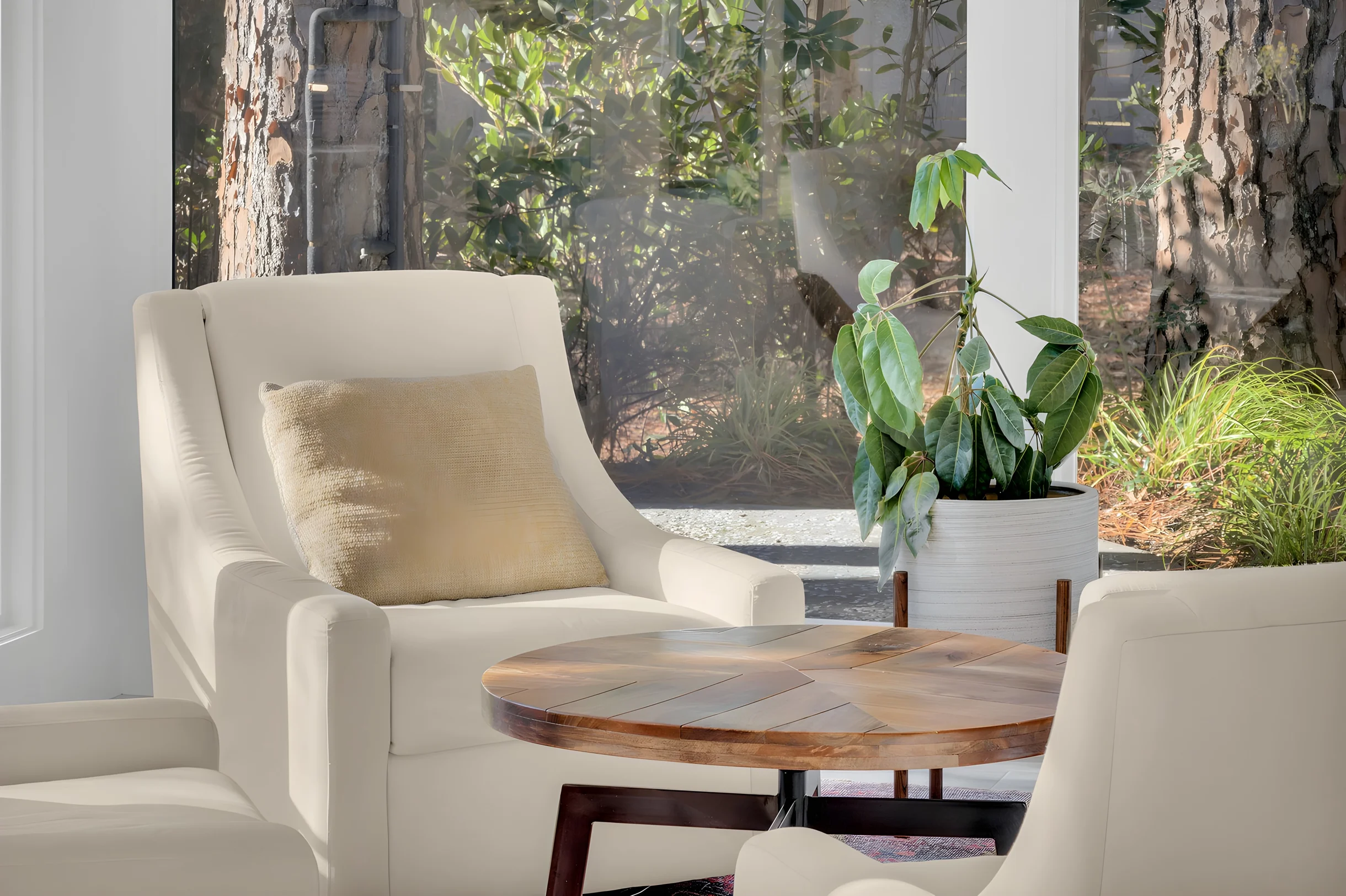 Wander Hilton Head Rookery #17