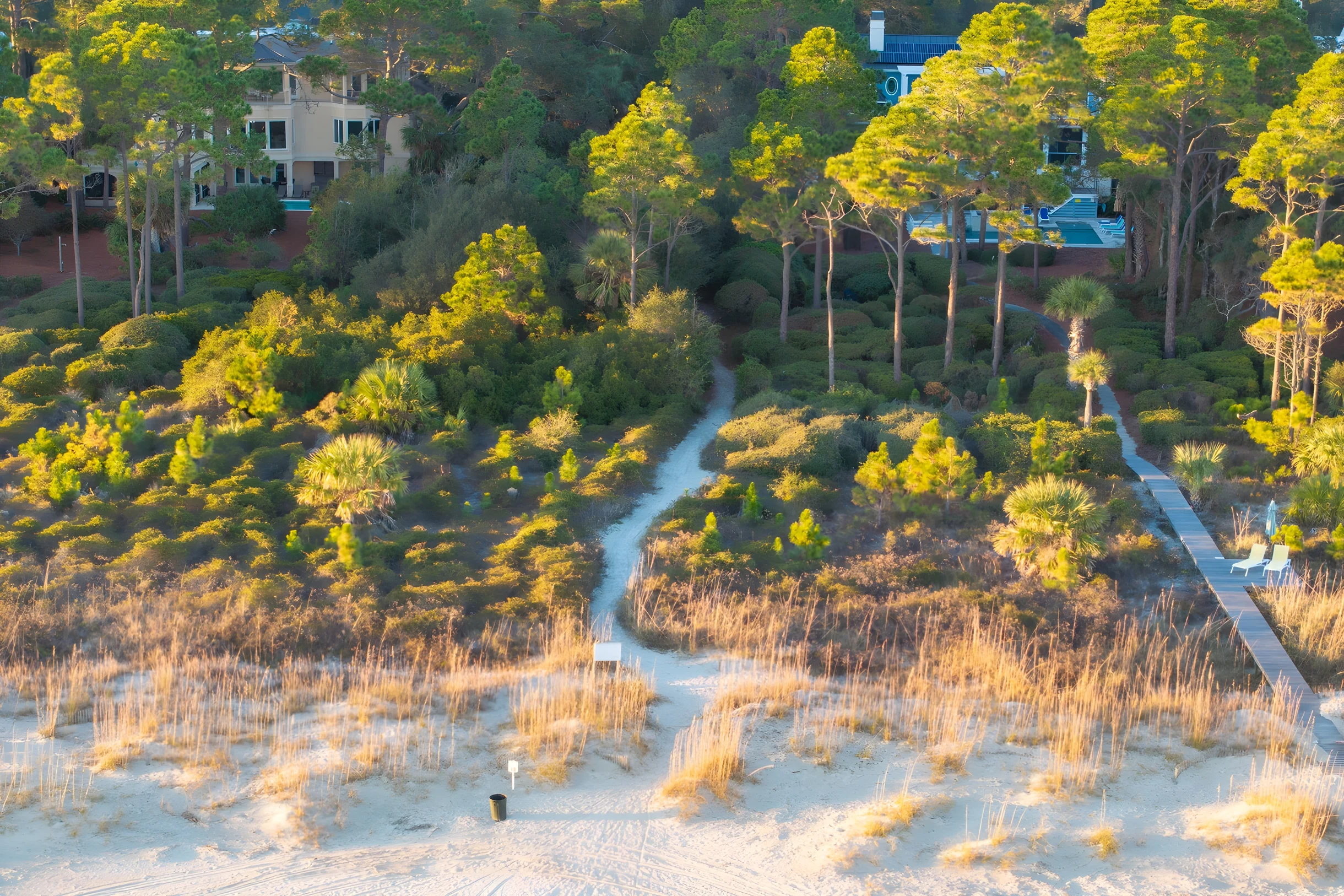 Wander Hilton Head Rookery #25