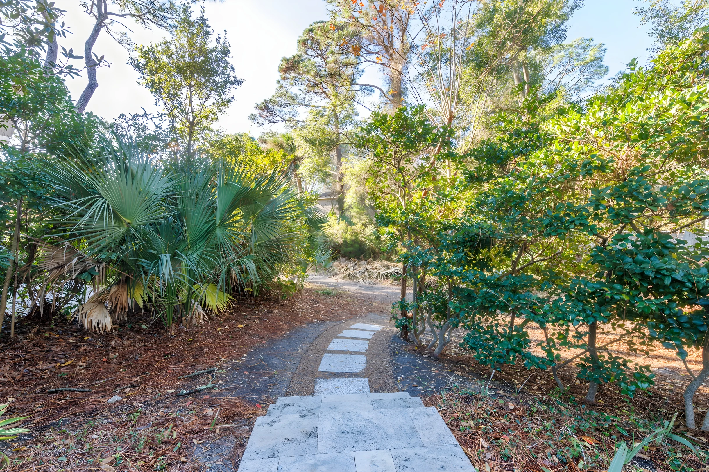 Wander Hilton Head Rookery #53