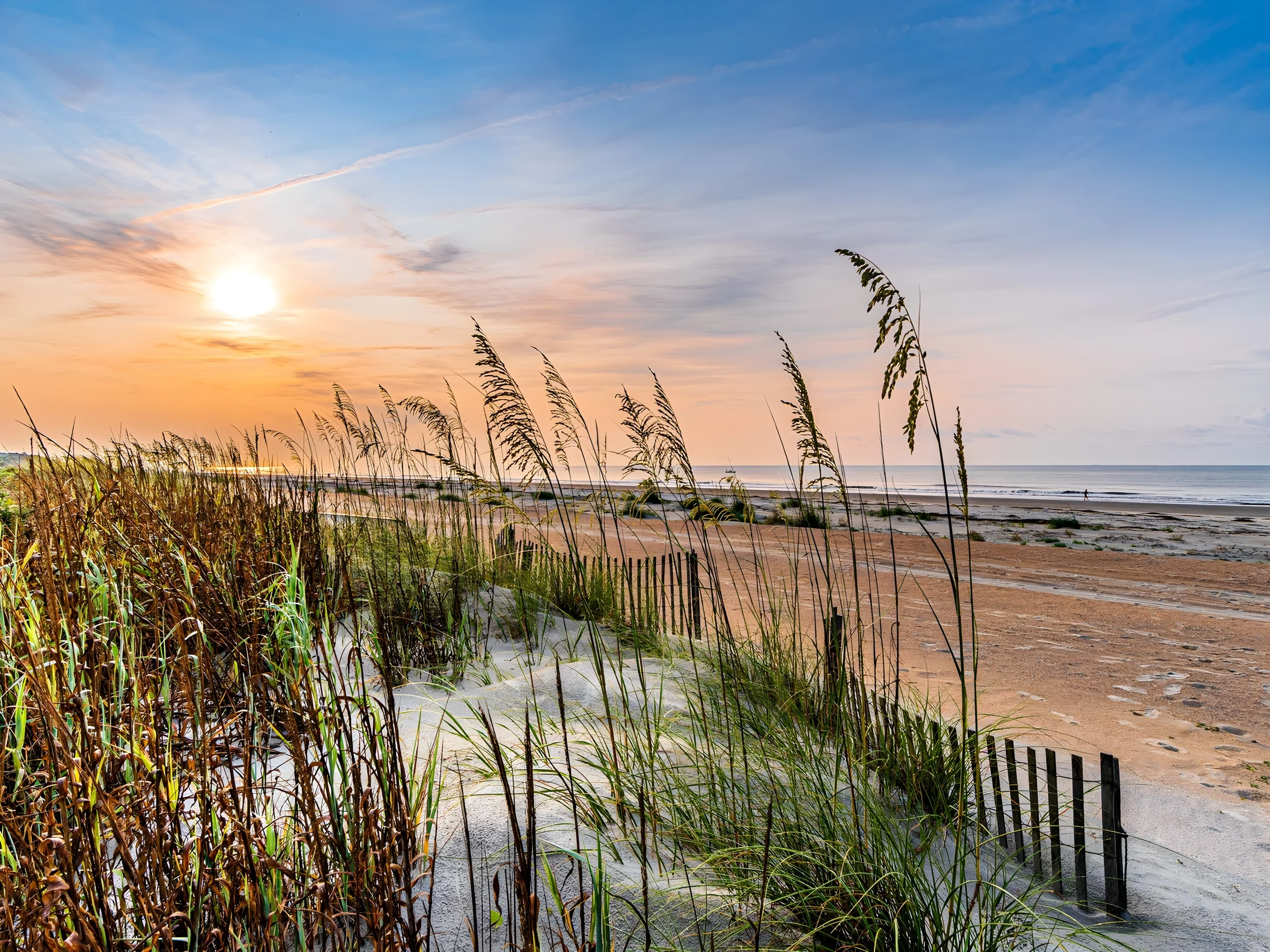 Wander Hilton Head Rookery #50