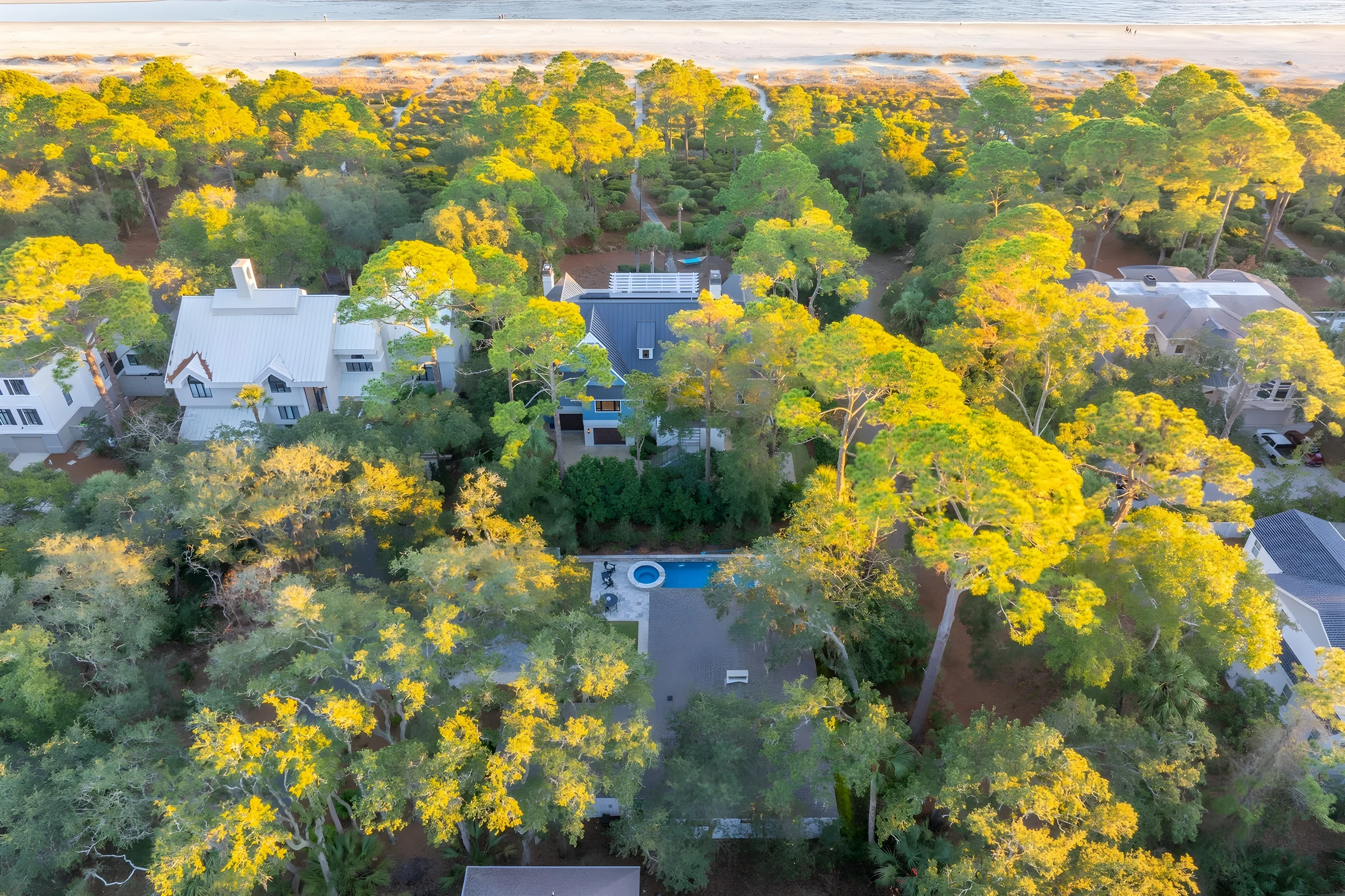 Wander Hilton Head Rookery #35