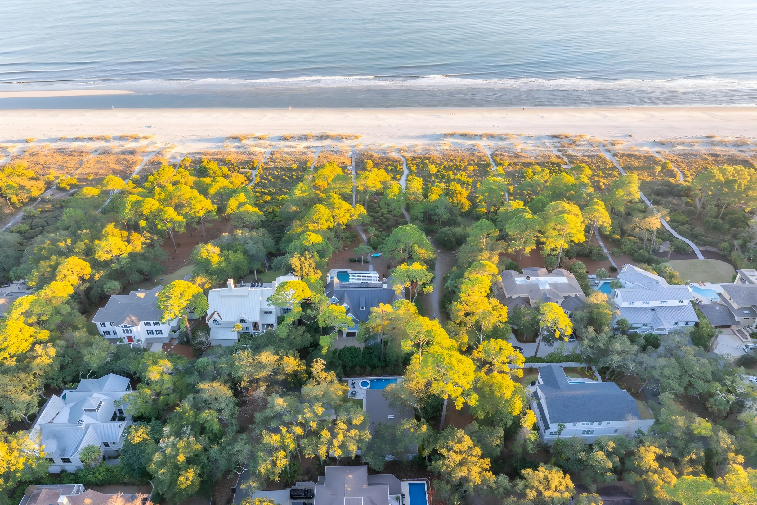 Wander Hilton Head Rookery #54