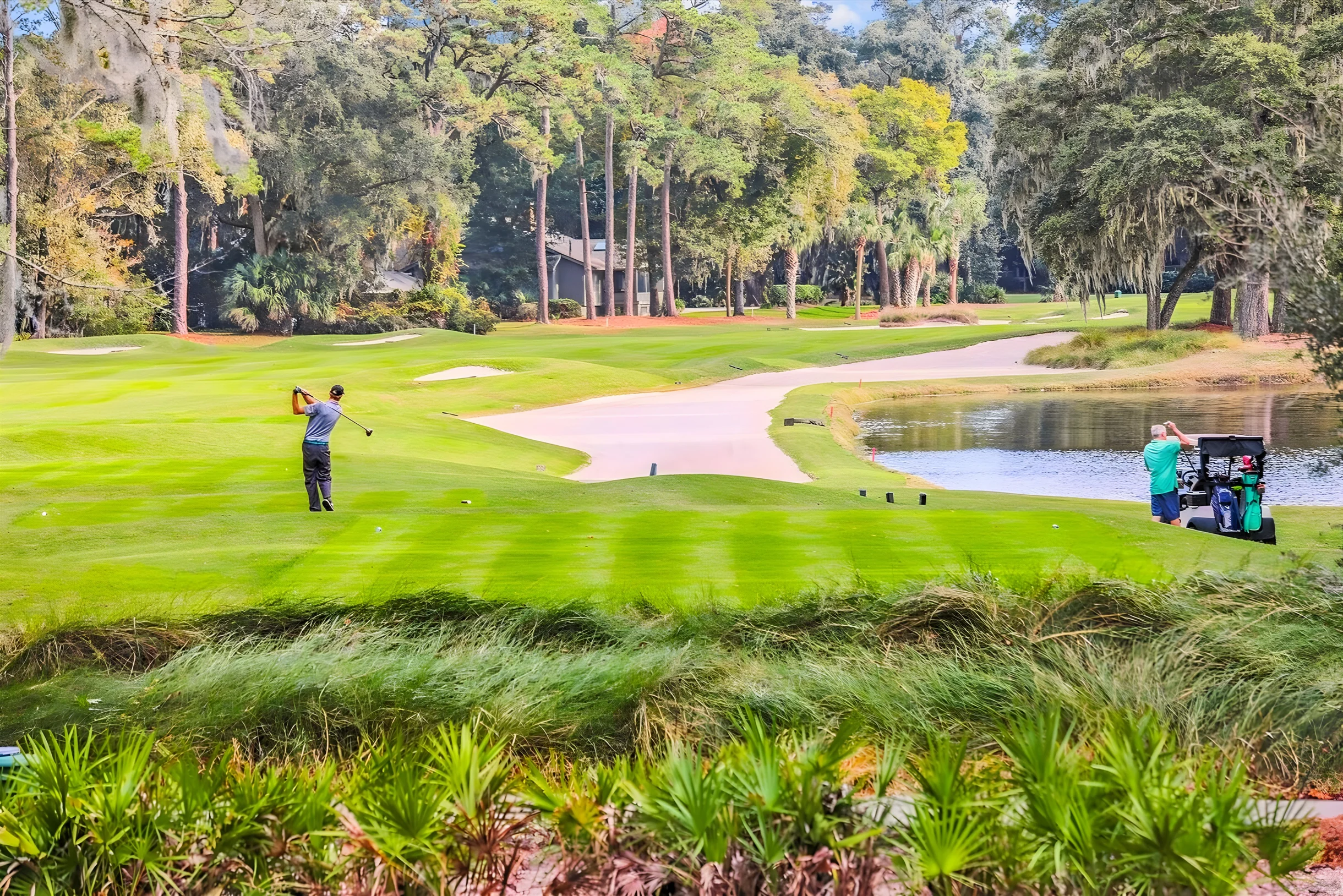 Wander Hilton Head Rookery #55