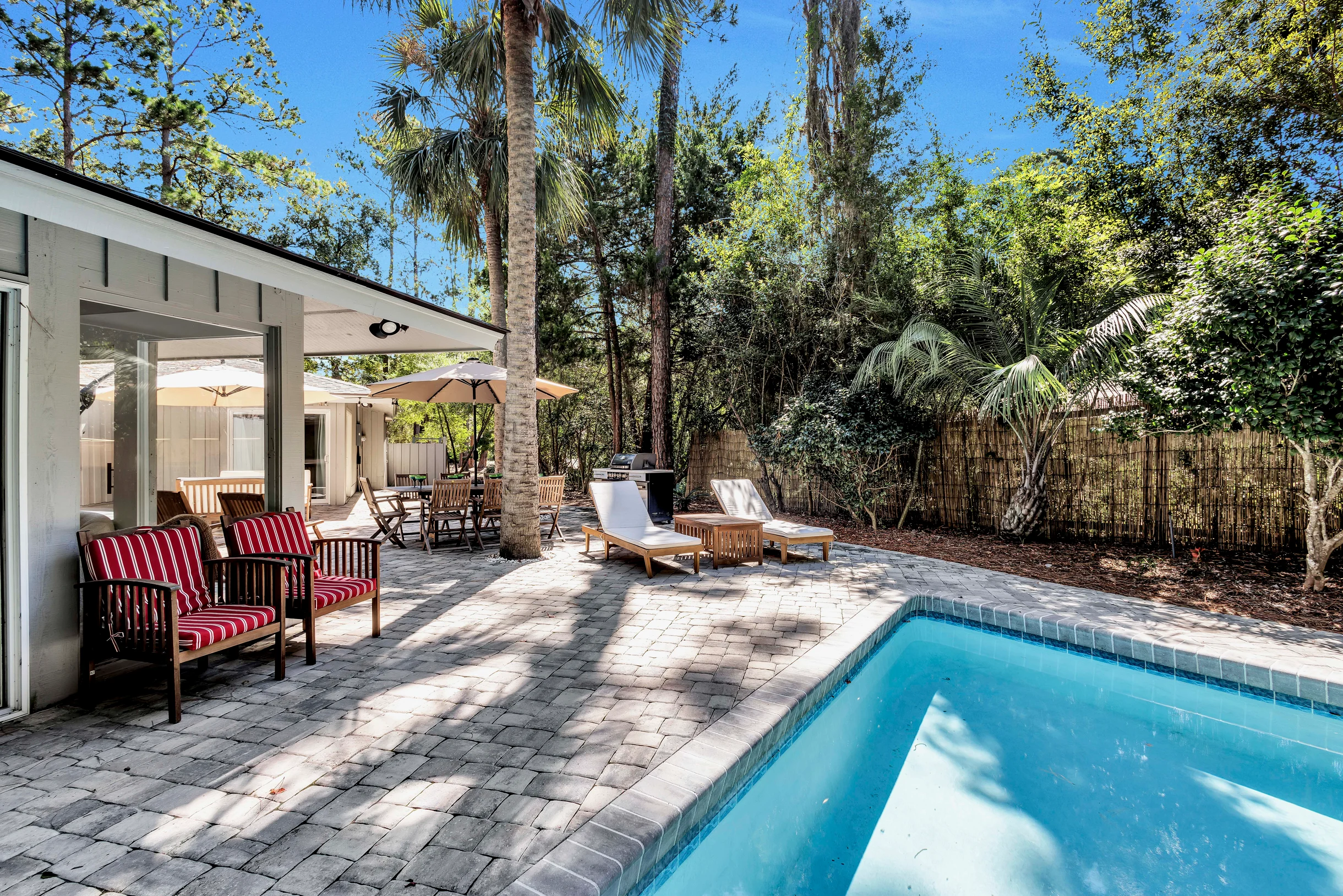 Wander Hilton Head Woods #5