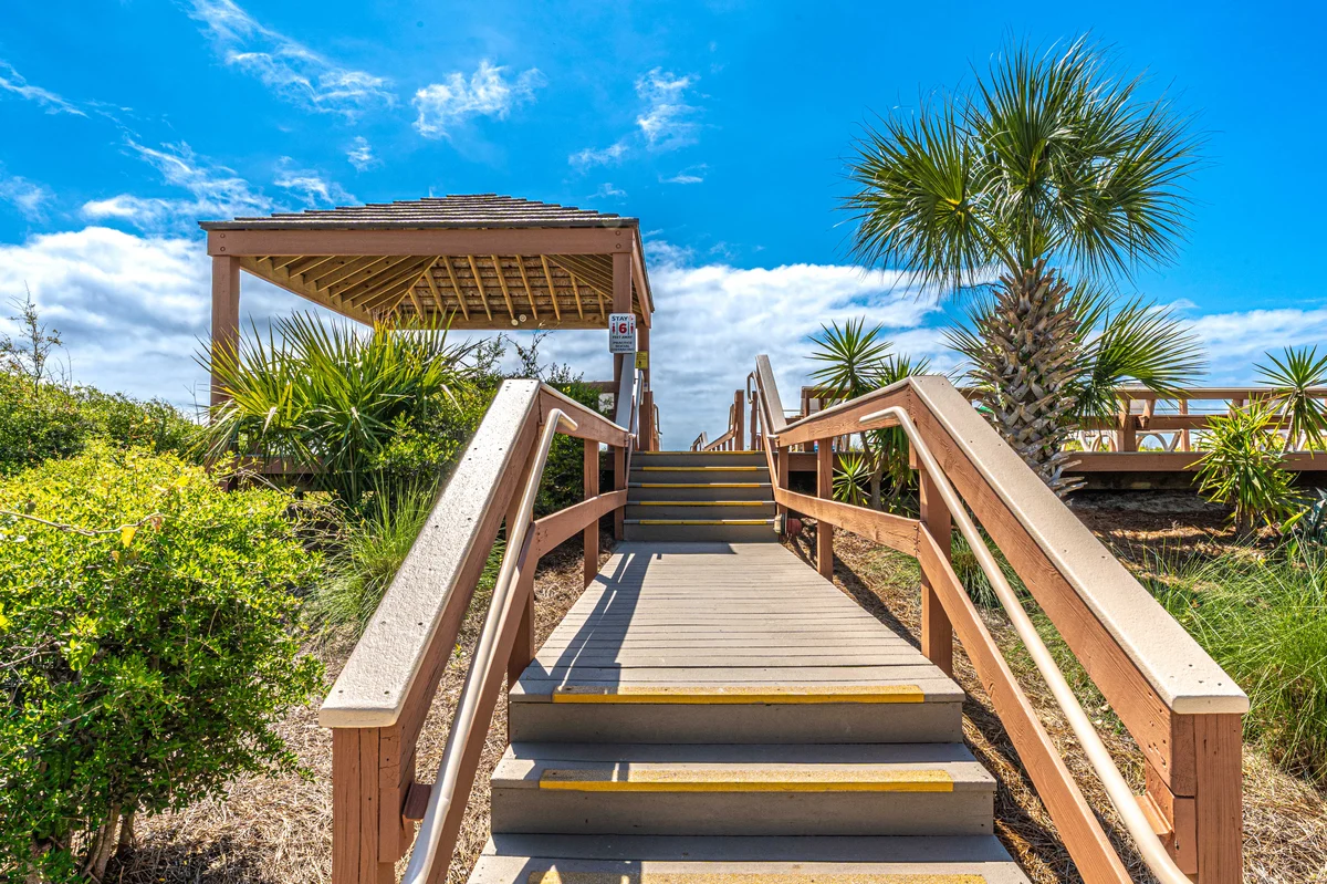 Wander Folly Field Palms