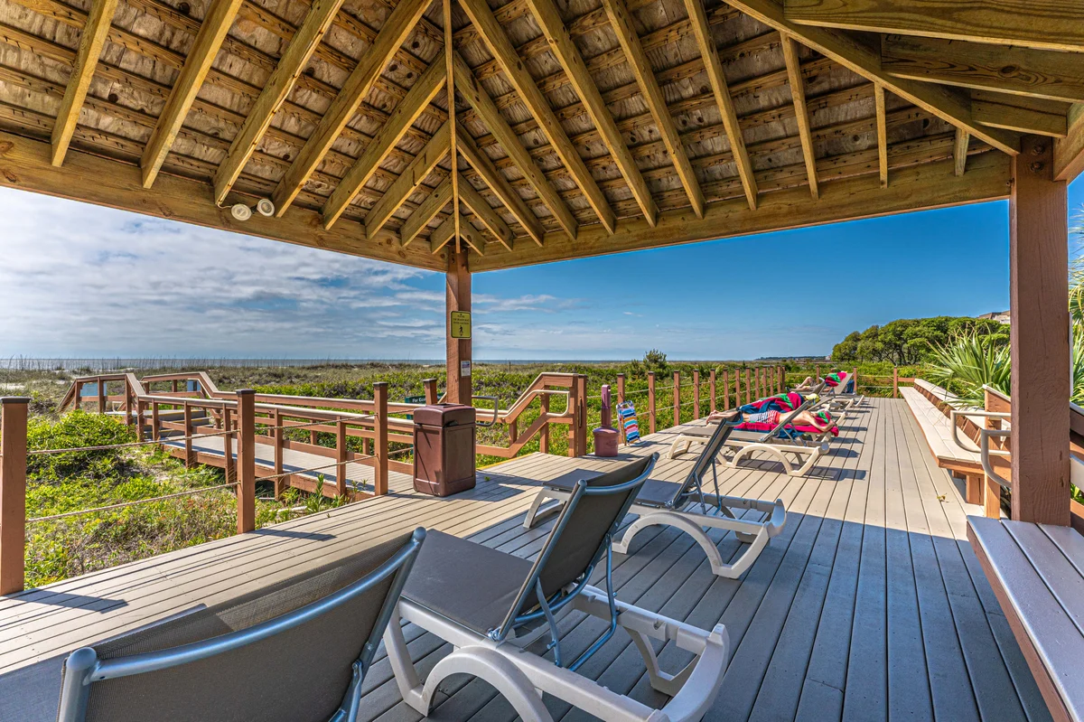 Wander Folly Field Palms