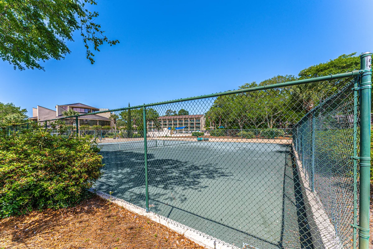 Wander Folly Field Palms