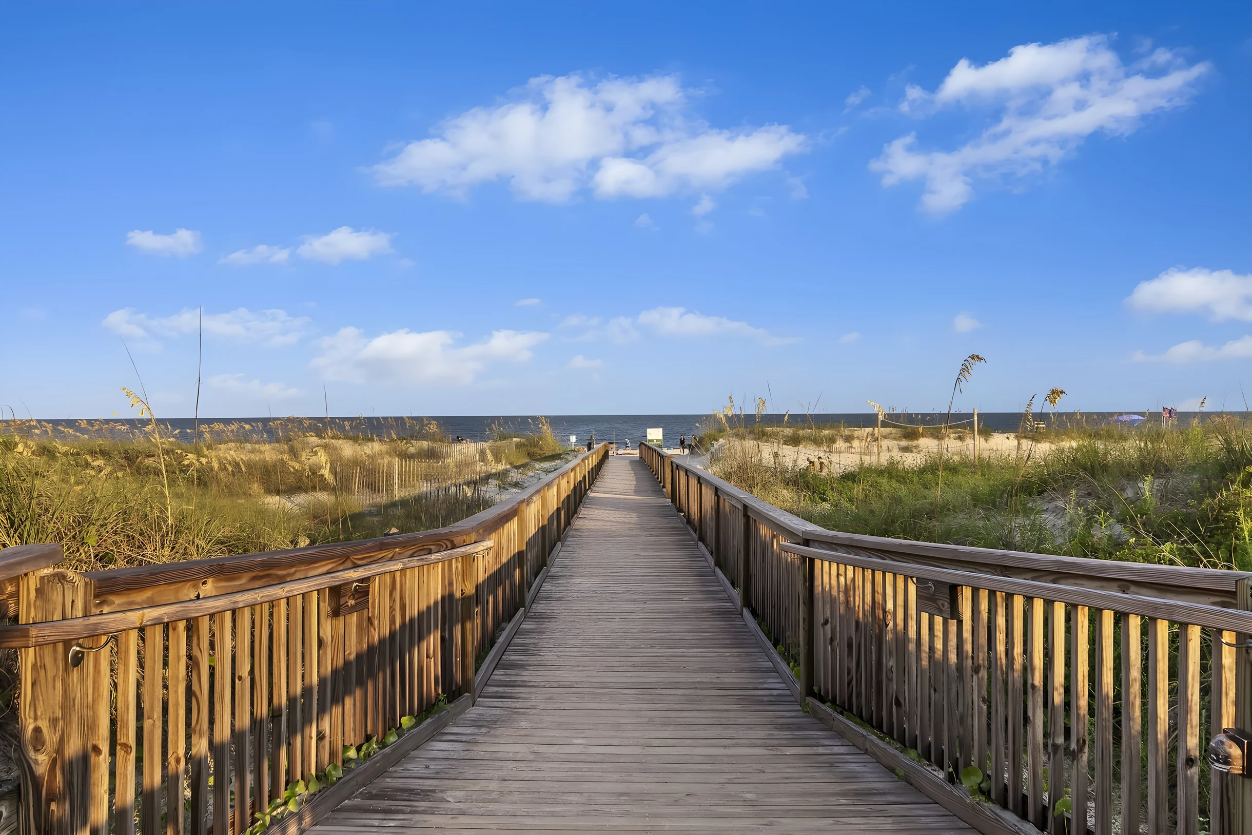 Wander Folly Field Shores #4