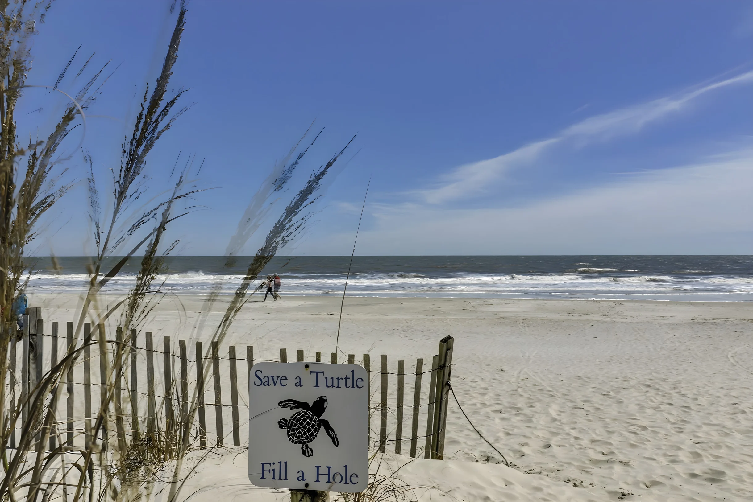 Wander Hilton Head Reserve #50