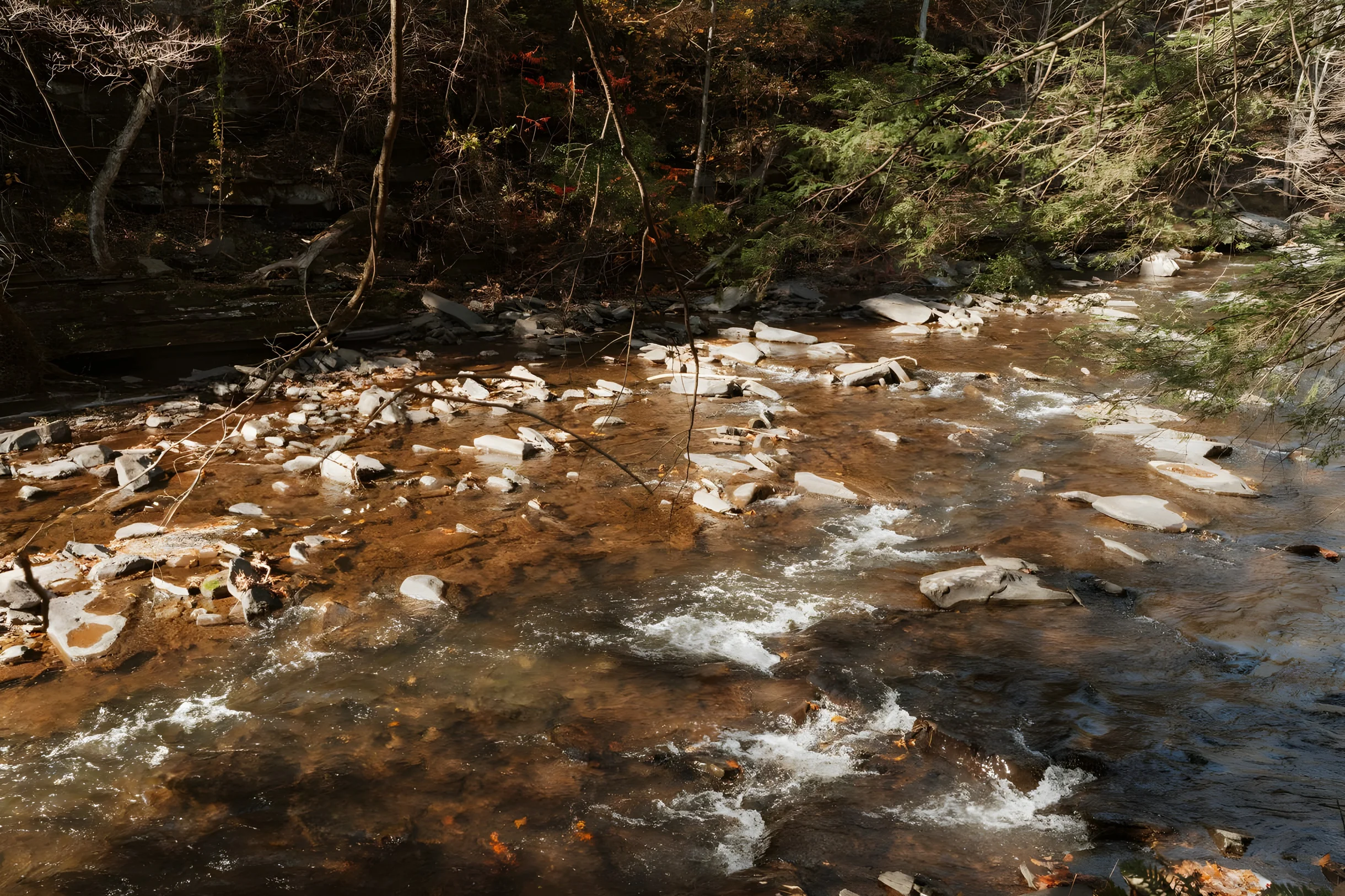 Wander Catskill Quarry #59