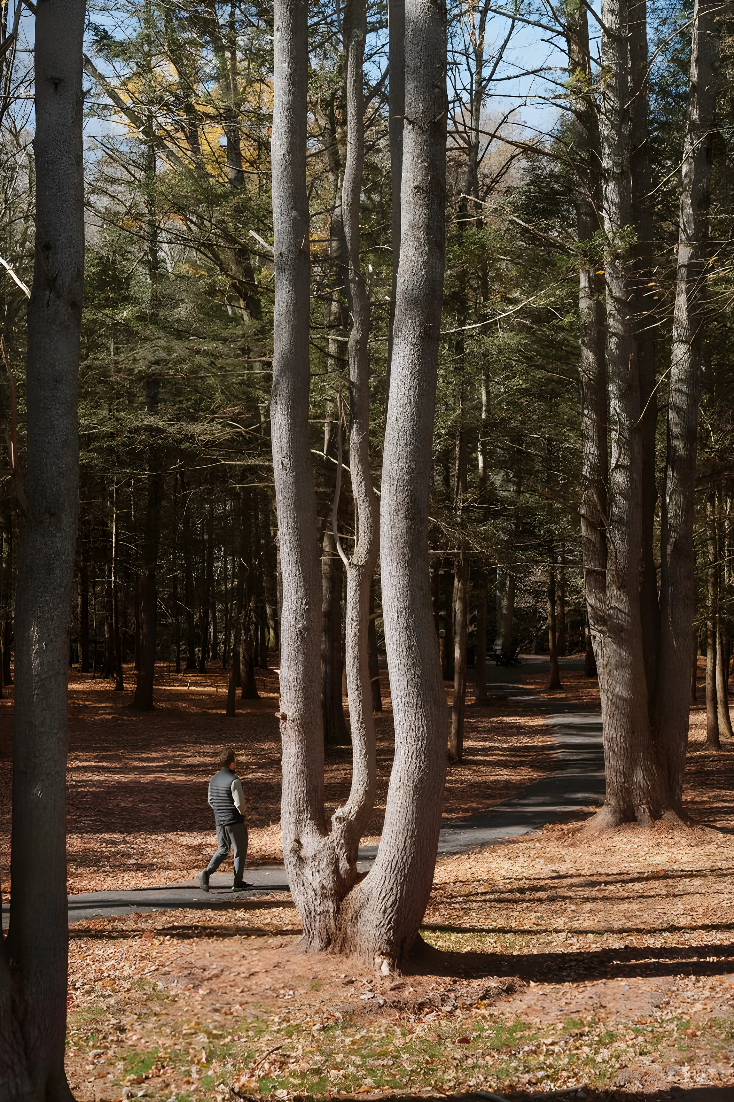 Wander Catskill Quarry #21