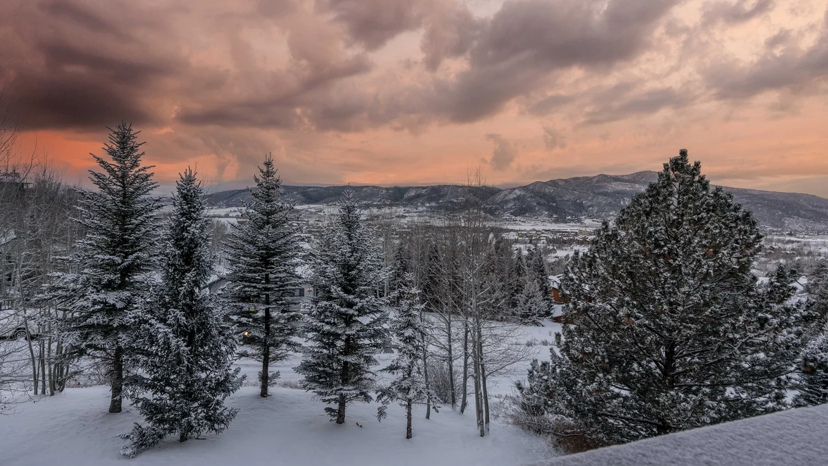 Wander Steamboat Beliza