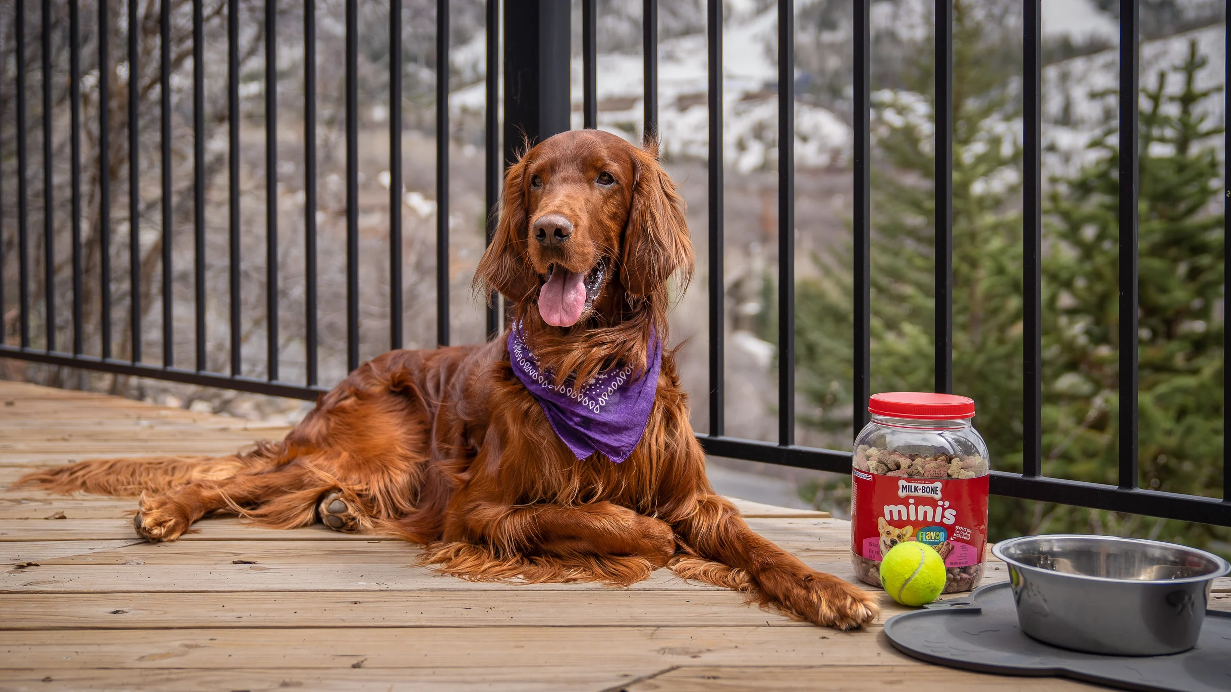 Wander Steamboat Memoire #30