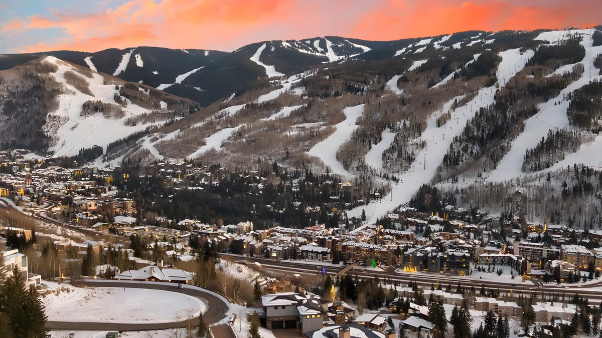 Wander Vail Forest View