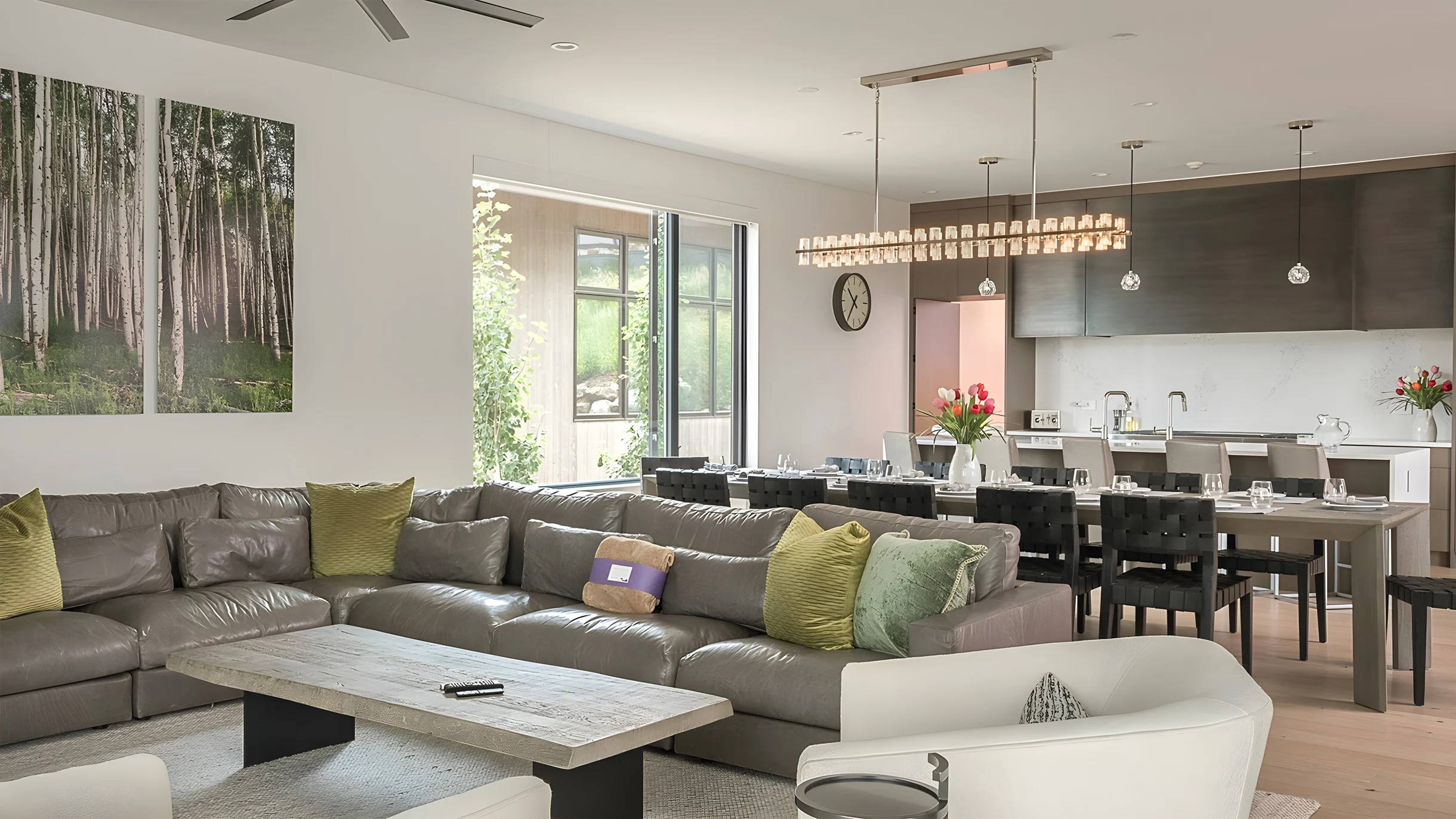 Wander Steamboat Andalusian