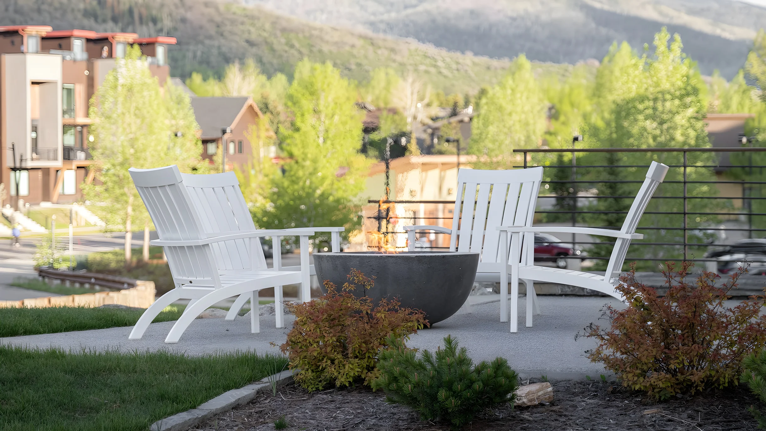 Wander Steamboat Palomino