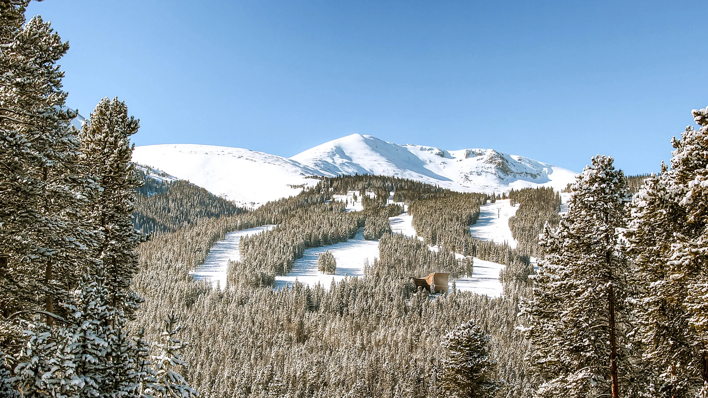 Grand Vista Lodge #43