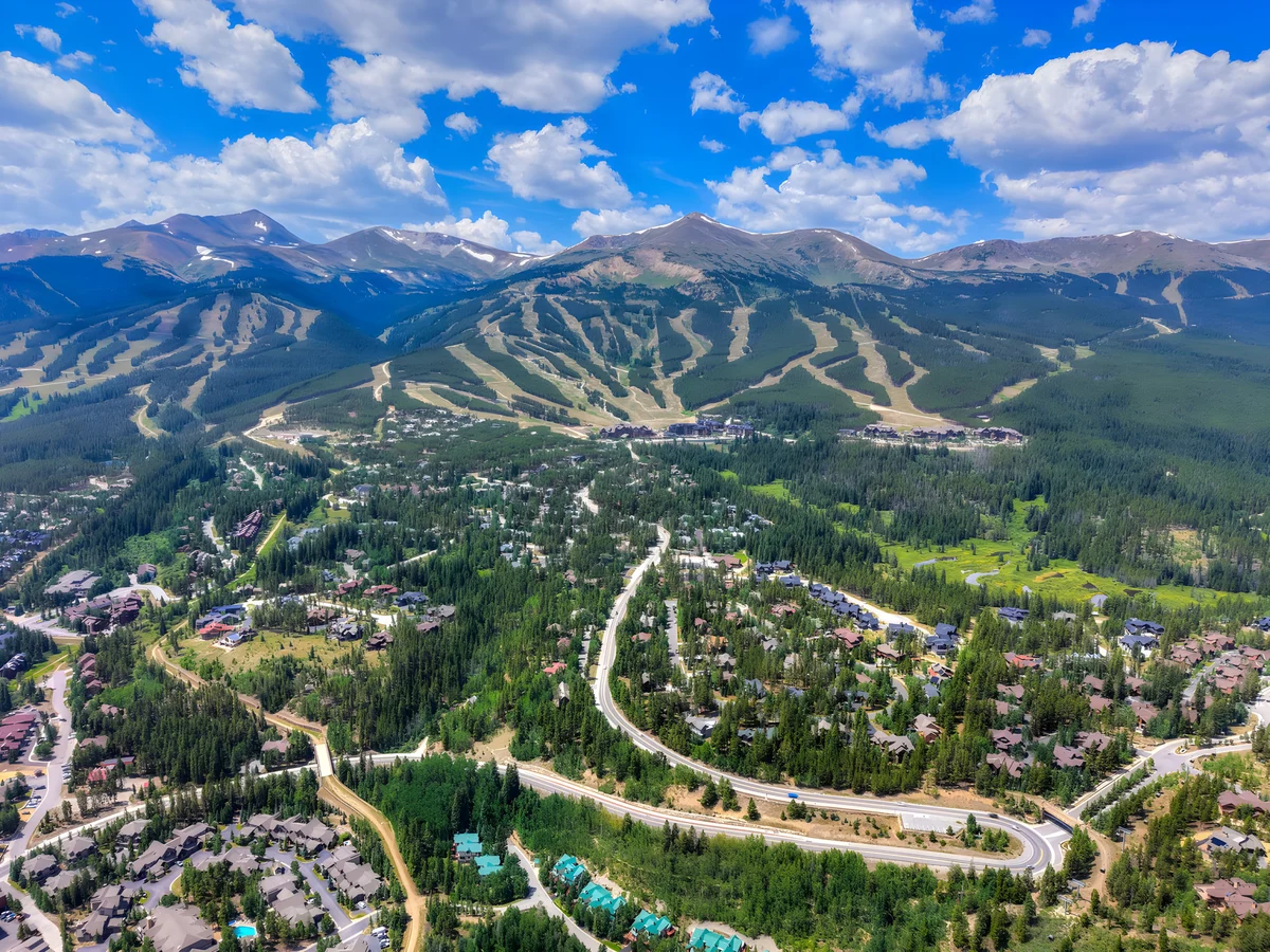 Wander Breckenridge Thicket